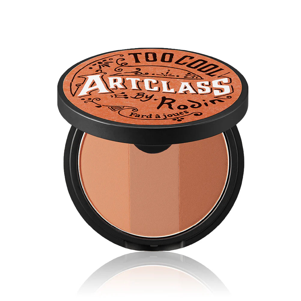 ARTCLASS BY RODIN BLUSHER ~ TOO COOL FOR SCHOOL // BLUSH