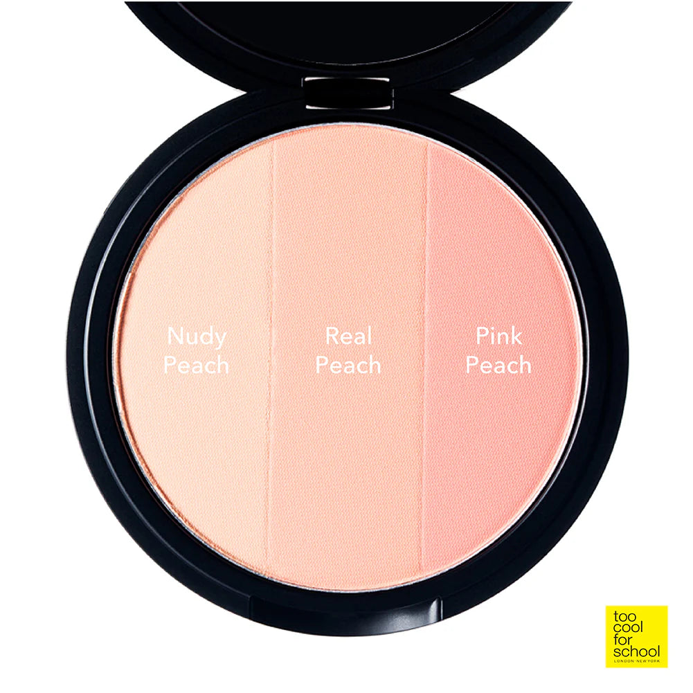 ARTCLASS BY RODIN BLUSHER ~ TOO COOL FOR SCHOOL // BLUSH