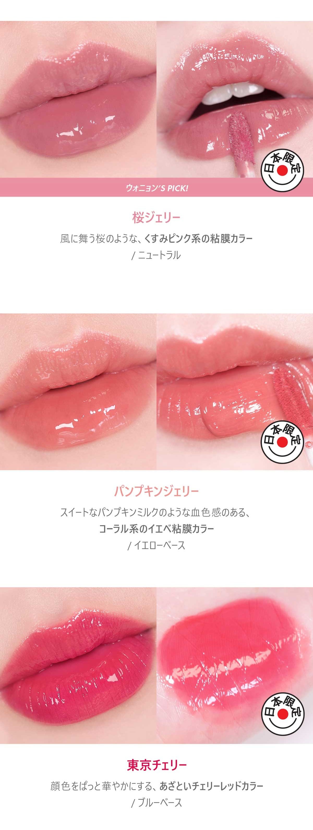 GEL-FIT TINT ~ AMUSE // LIP TINT