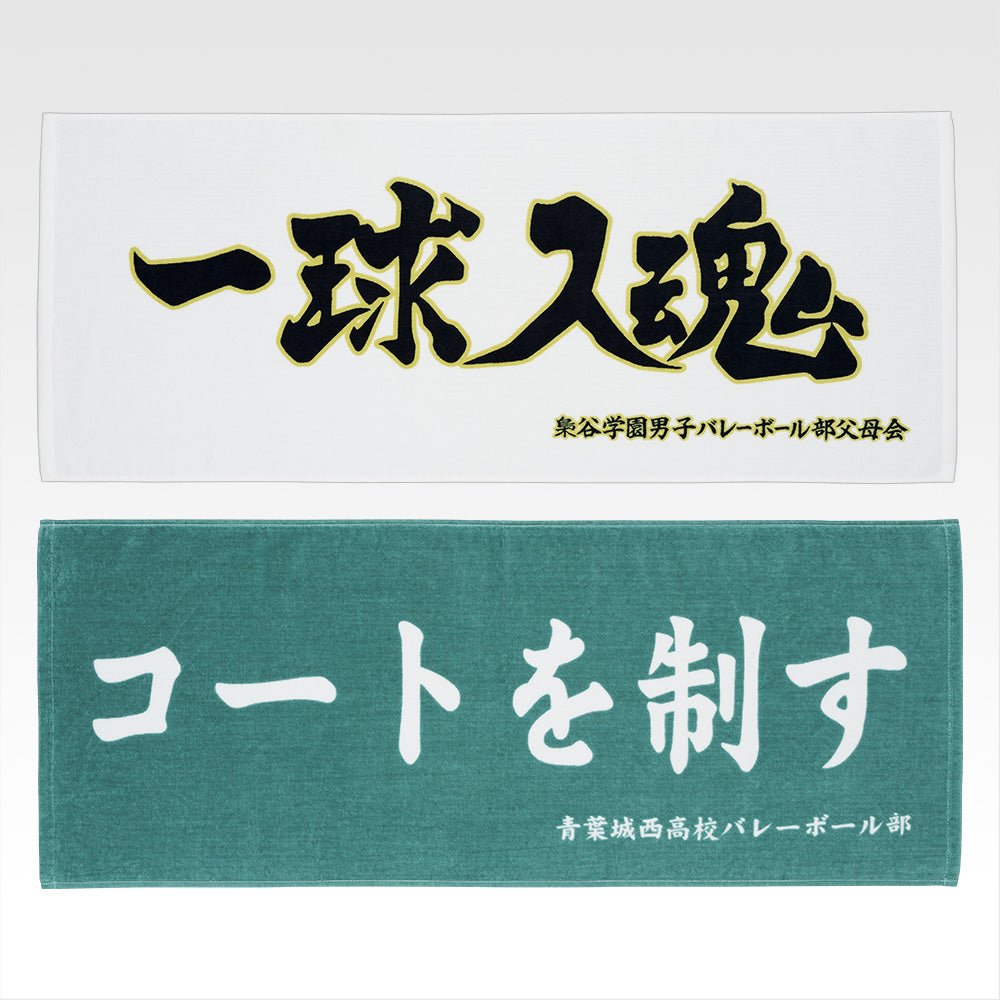 HAIKYU!! ~ ICHIBAN KUJI X BANDAI // PRIZE DRAW