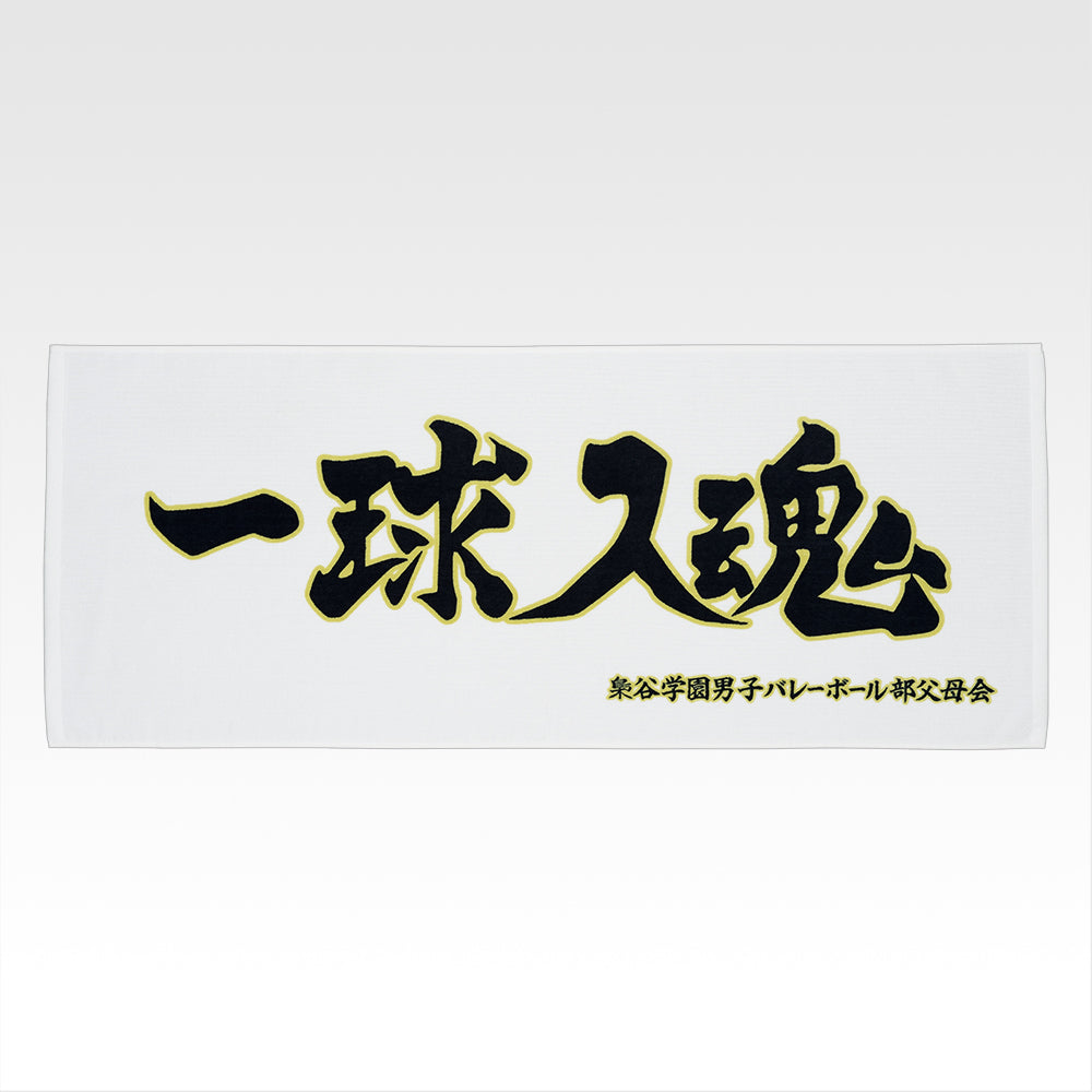 HAIKYU!! ~ ICHIBAN KUJI X BANDAI // PRIZE DRAW