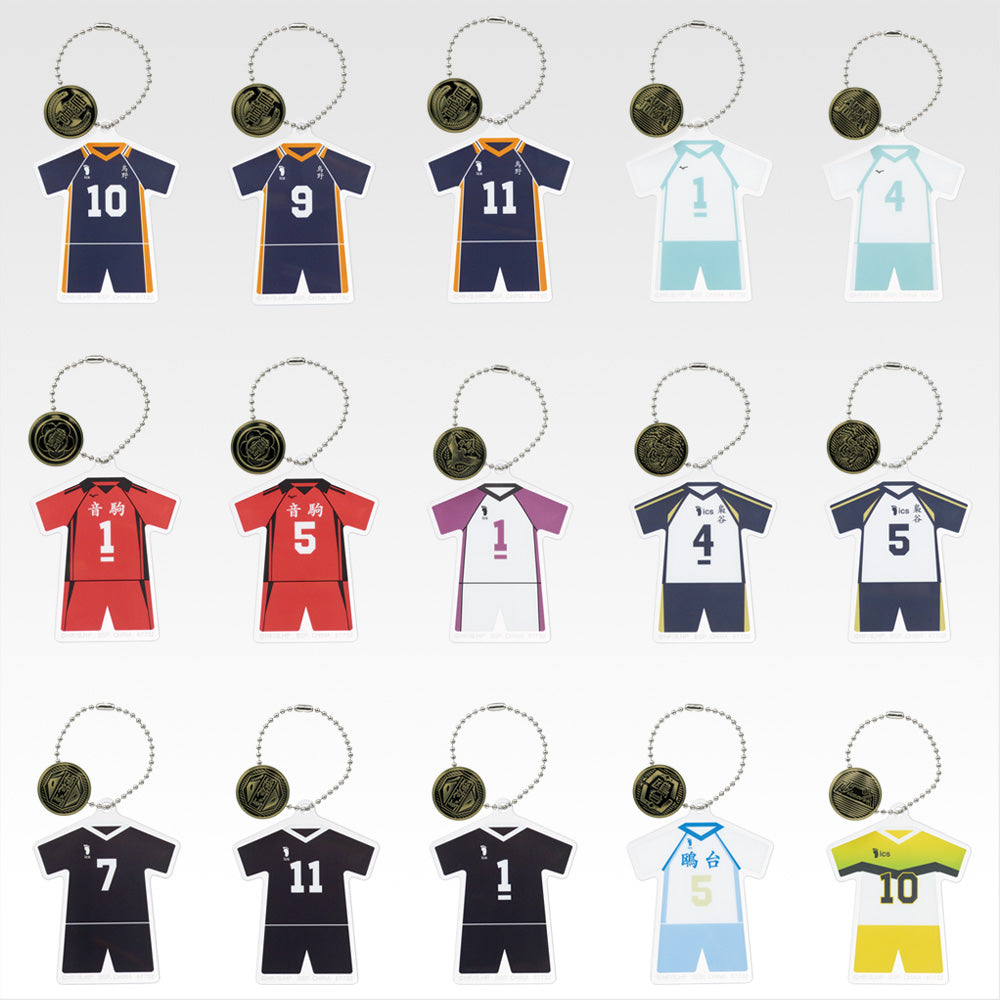HAIKYU!! ~ ICHIBAN KUJI X BANDAI // PRIZE DRAW