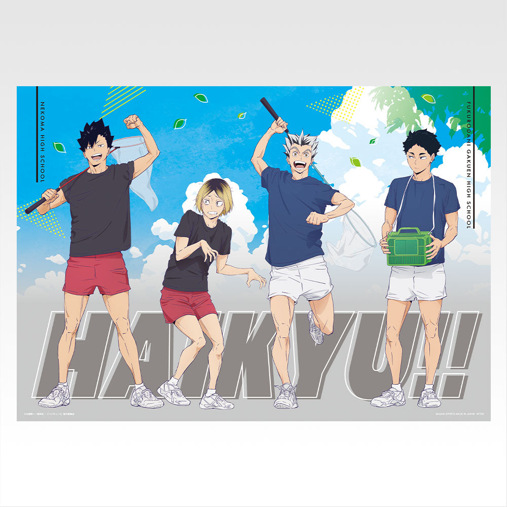 HAIKYU!! ~ ICHIBAN KUJI X BANDAI // PRIZE DRAW