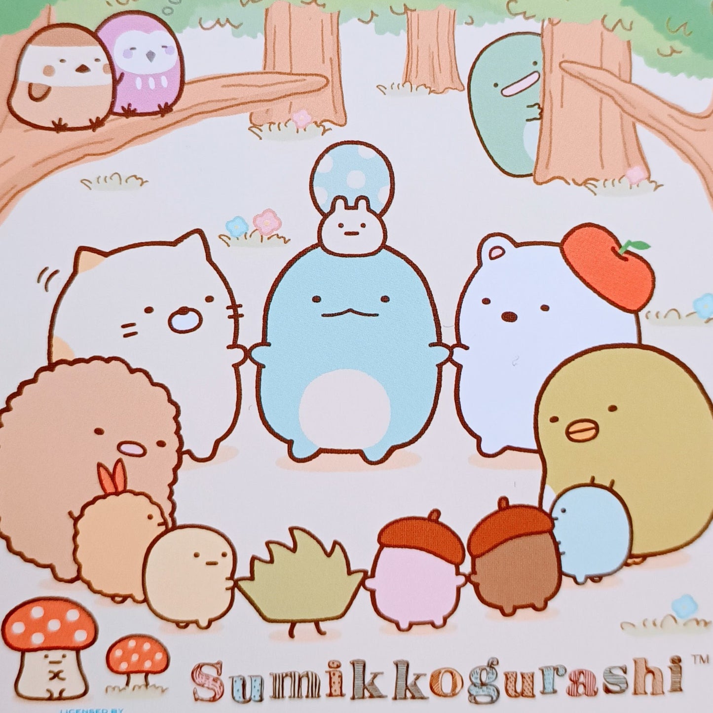 SUMIKKO GURASHI ~ SAN-X // COLORING BOOK W/ STICKERS