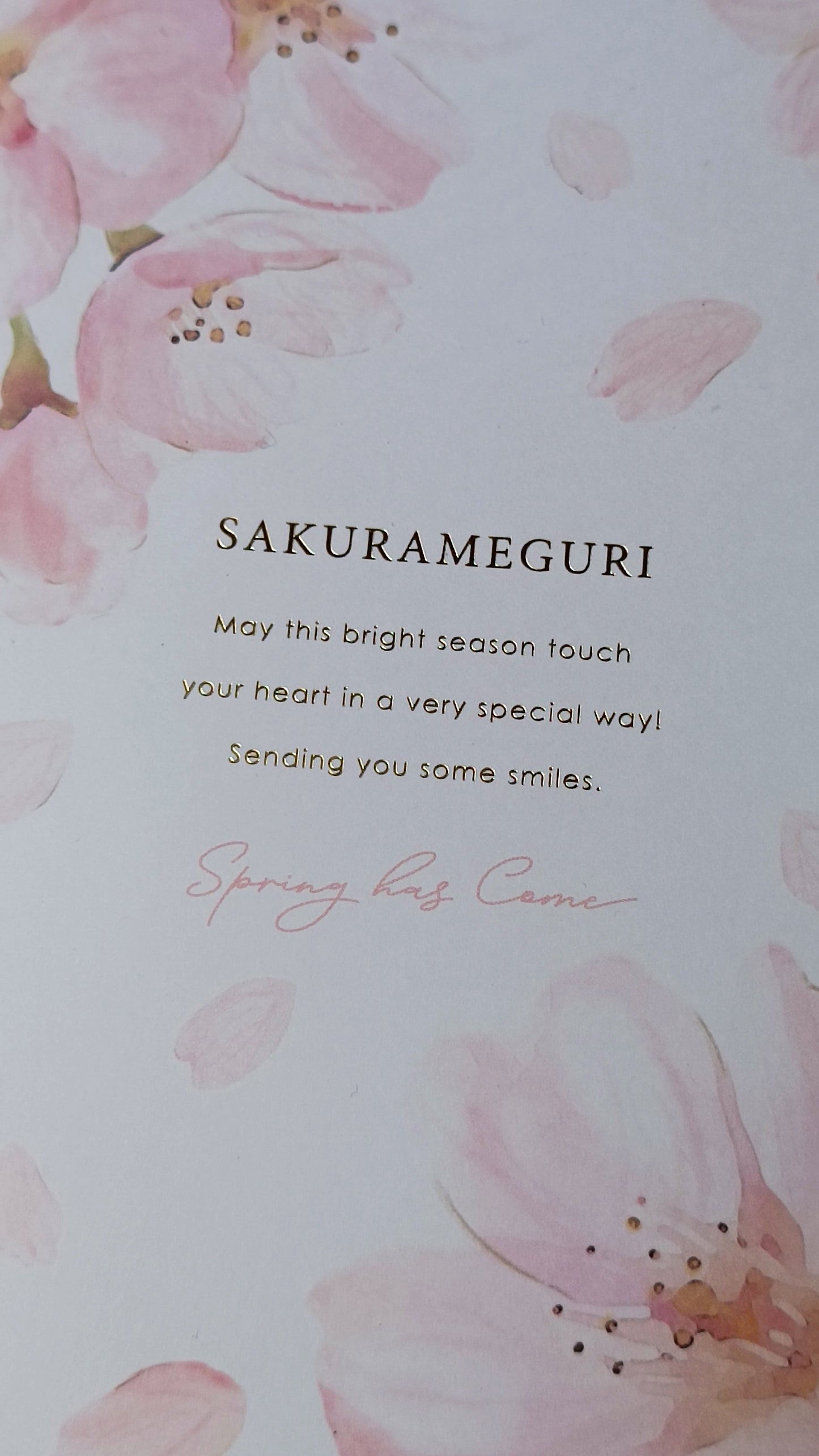 CHERRY BLOSSOMS ★ NOTEBOOK A5 // KYOWA