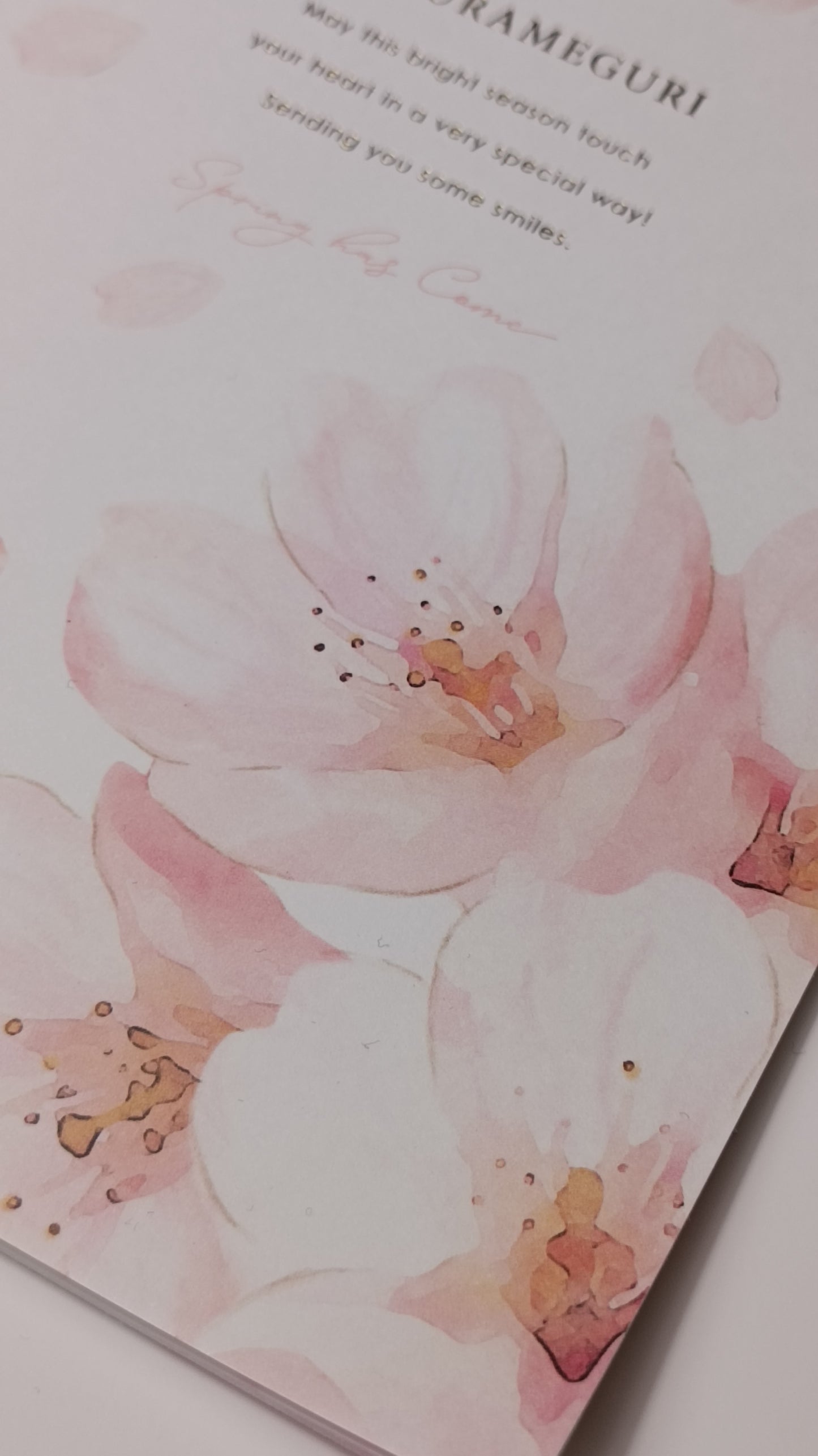 CHERRY BLOSSOMS ★ NOTEBOOK A5 // KYOWA