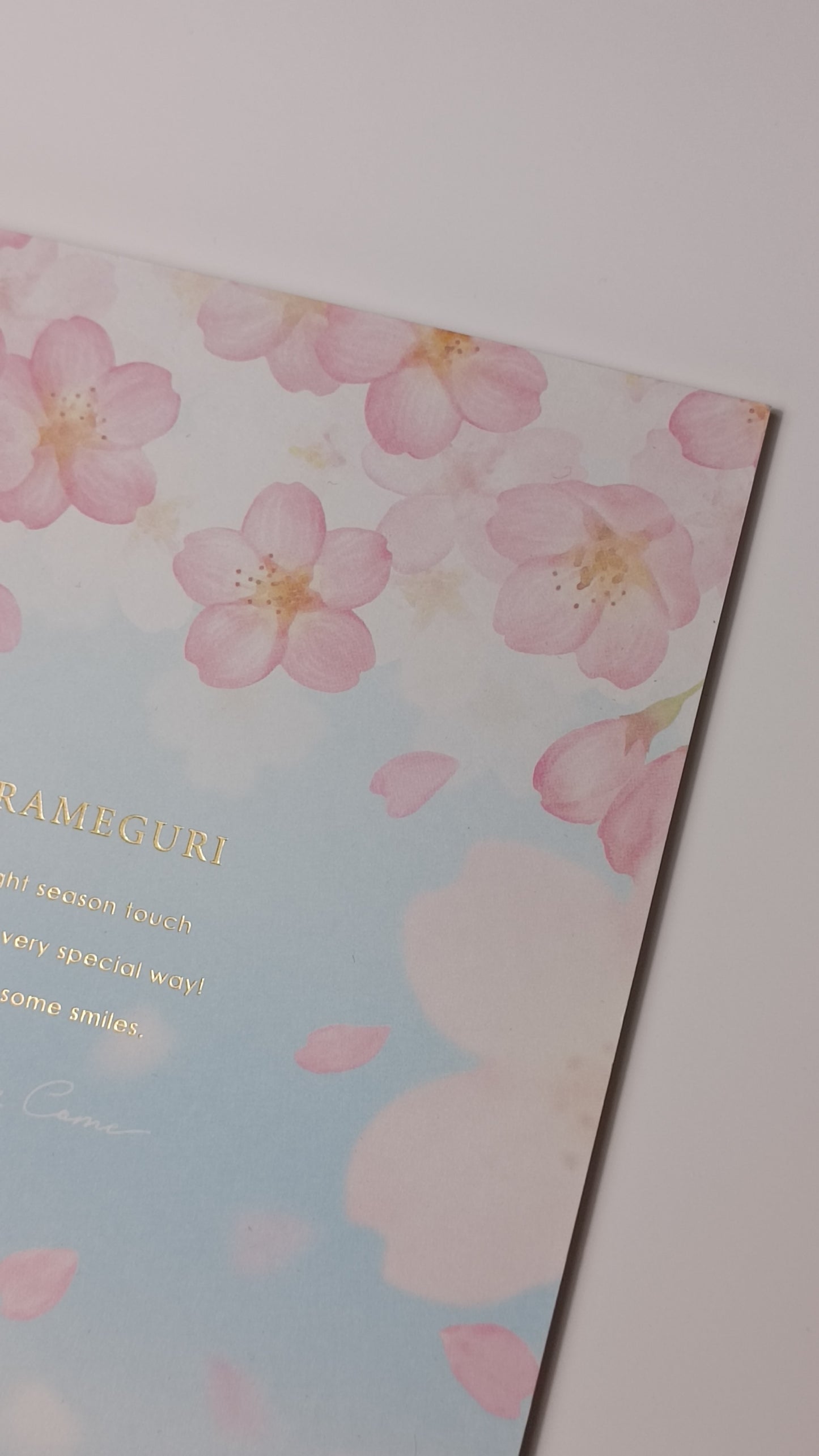 CHERRY BLOSSOMS & SKY ~ KYOWA // A5 NOTEBOOK