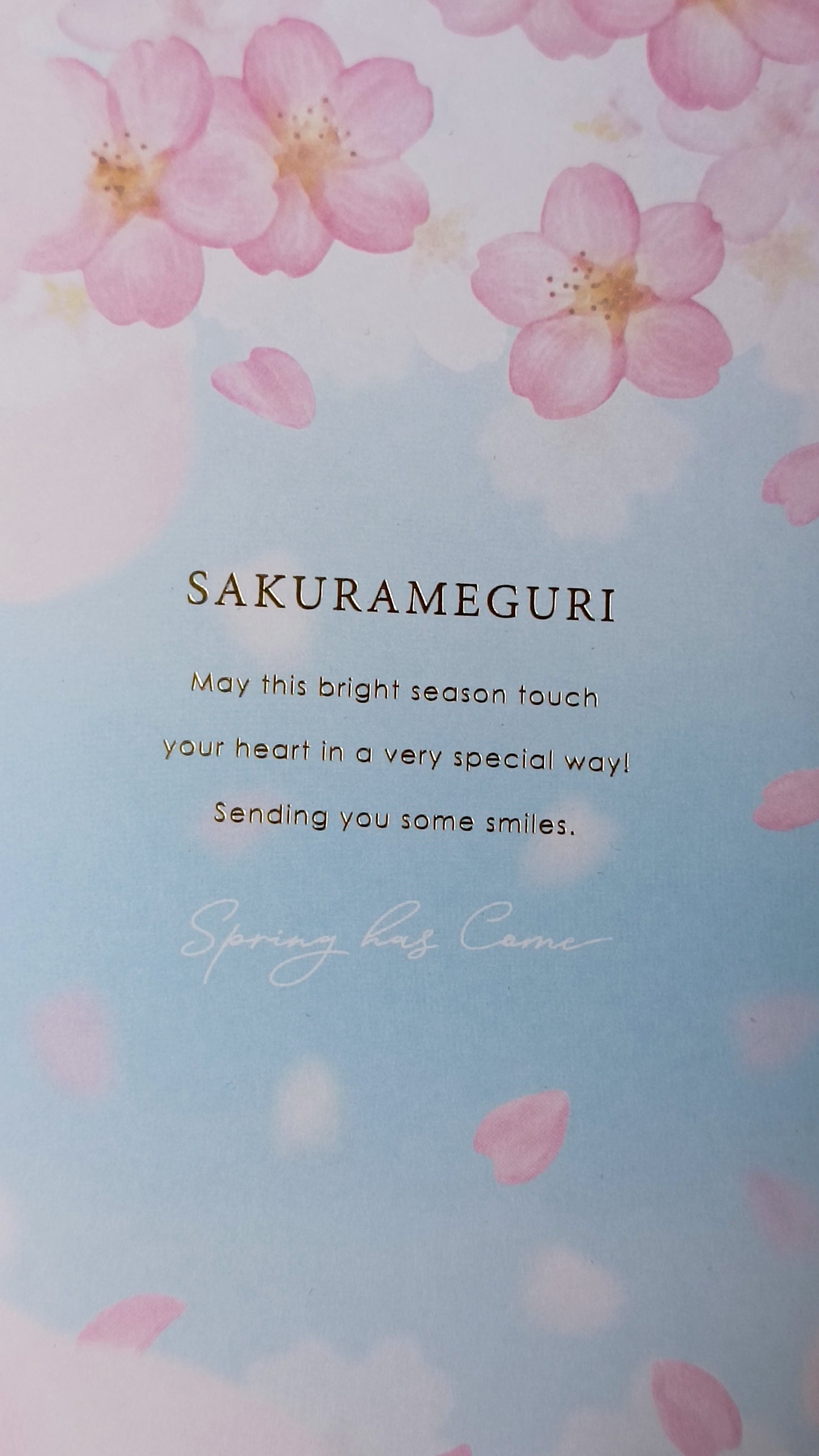 CHERRY BLOSSOMS & SKY ★ NOTEBOOK A5 // KYOWA