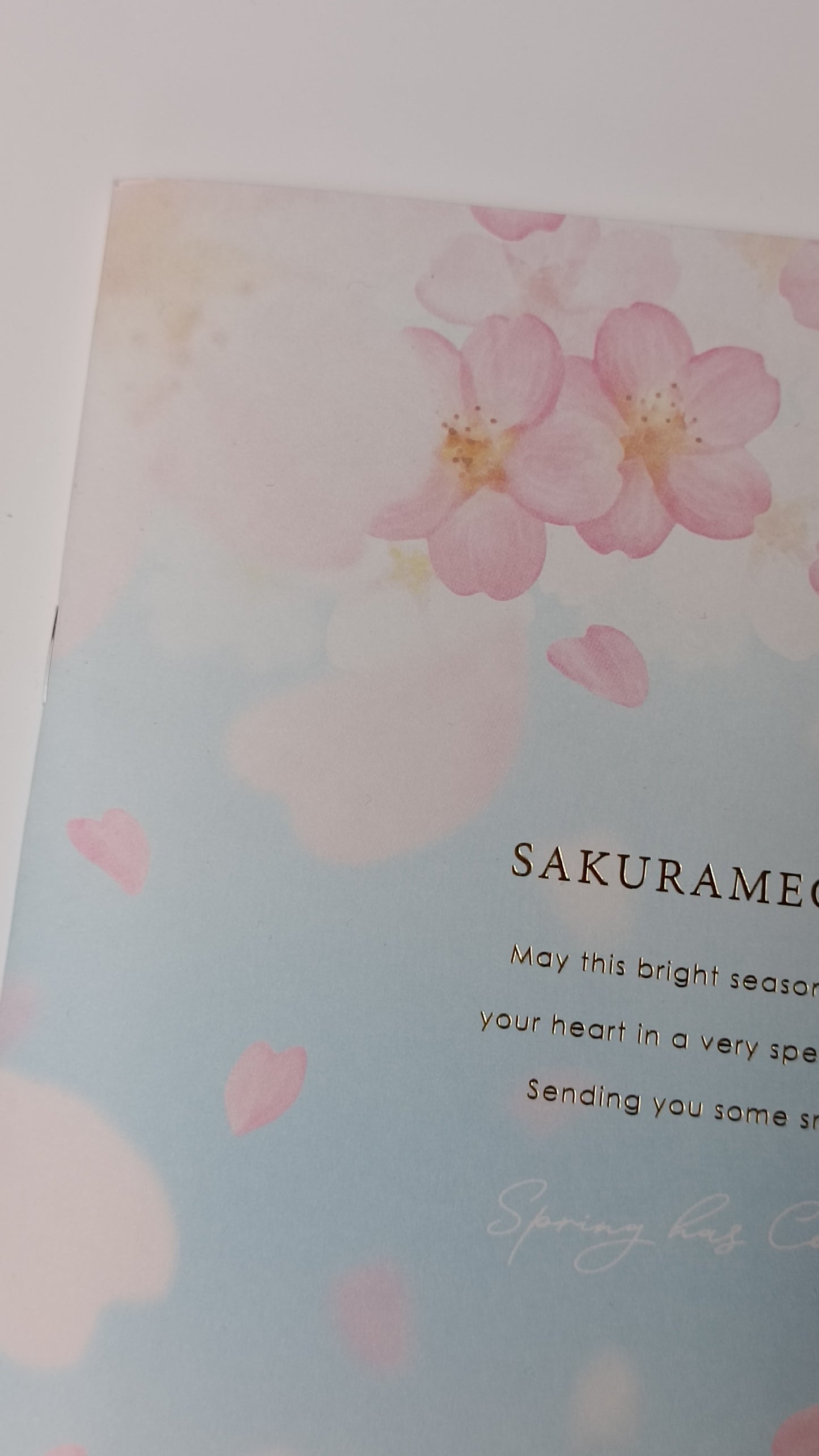 CHERRY BLOSSOMS & SKY ★ NOTEBOOK A5 // KYOWA