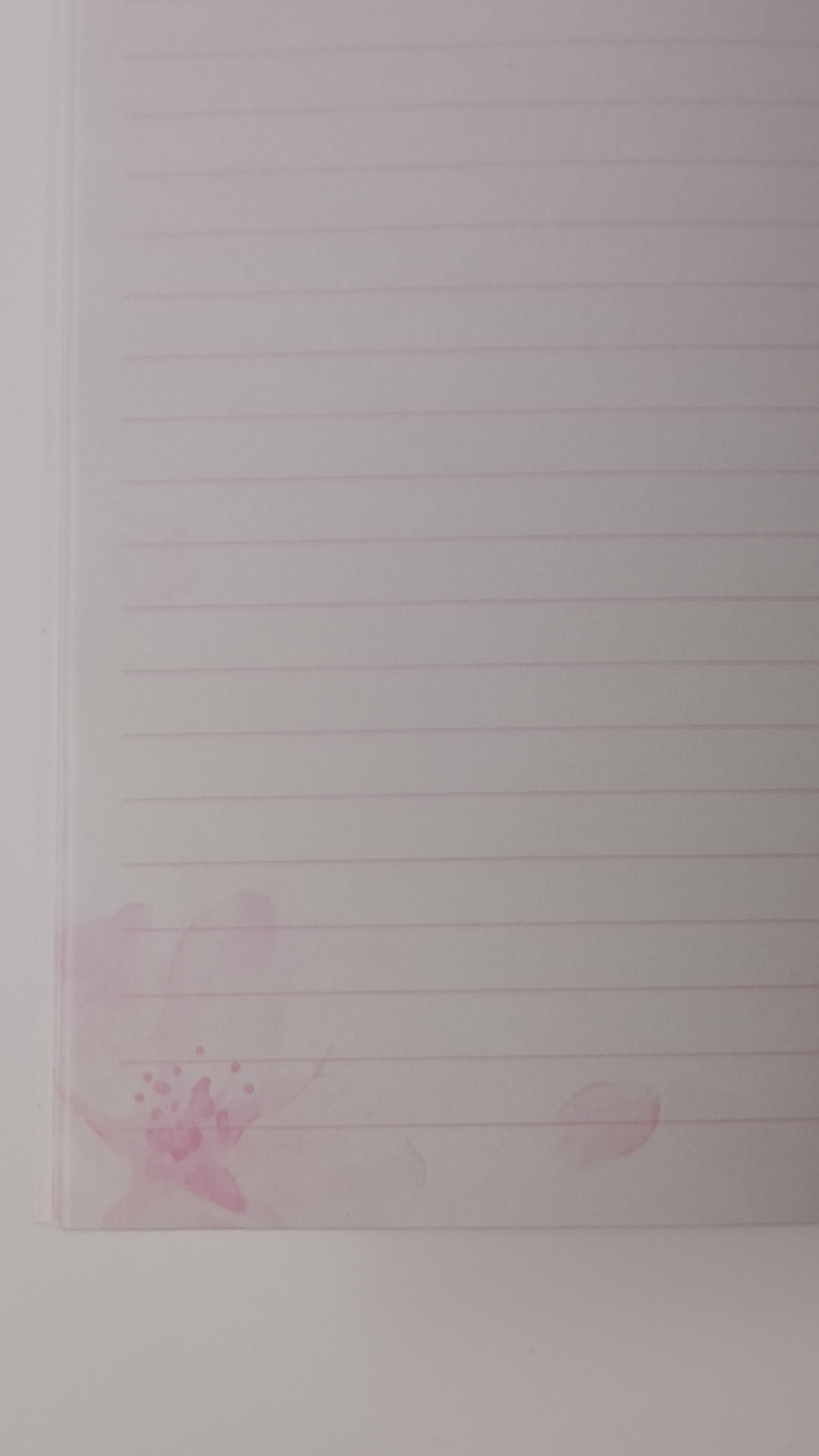CHERRY BLOSSOMS & SKY ~ KYOWA // A5 NOTEBOOK