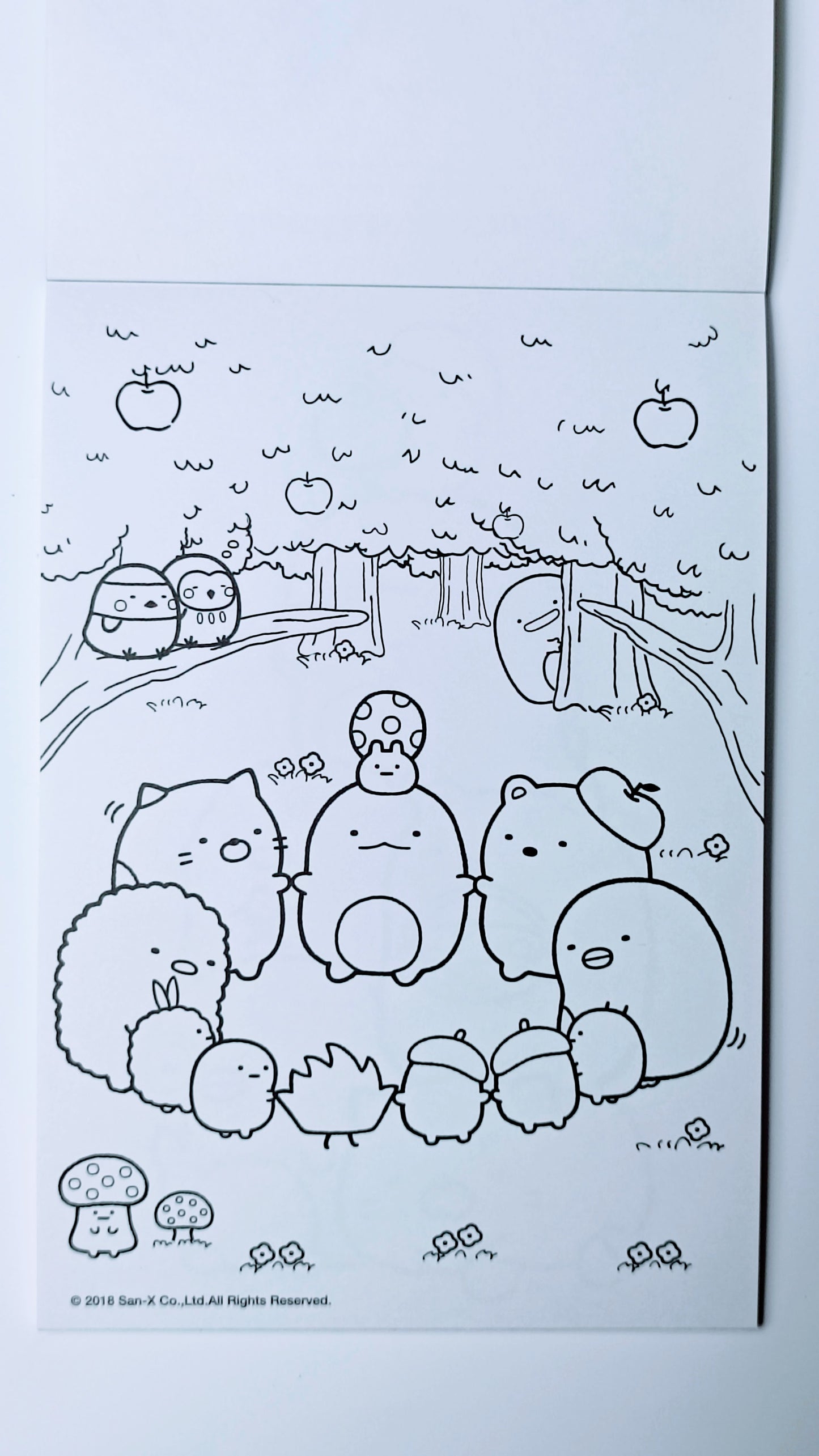 SUMIKKO GURASHI ~ SAN-X // COLORING BOOK W/ STICKERS