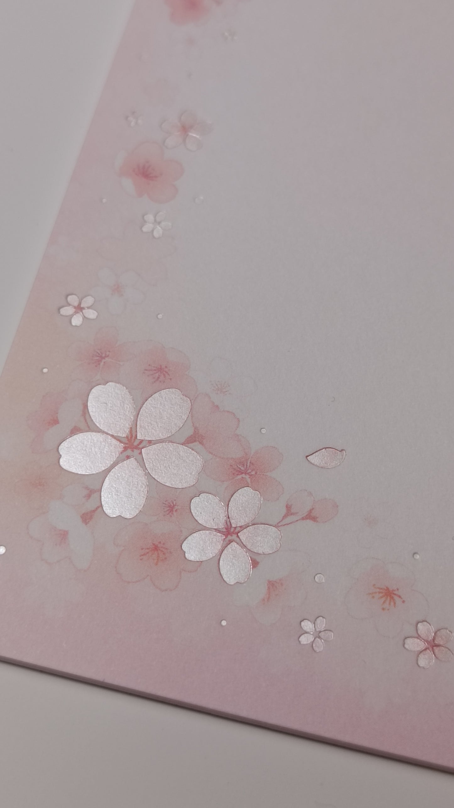 SAKURA // POSTCARDS PAPER