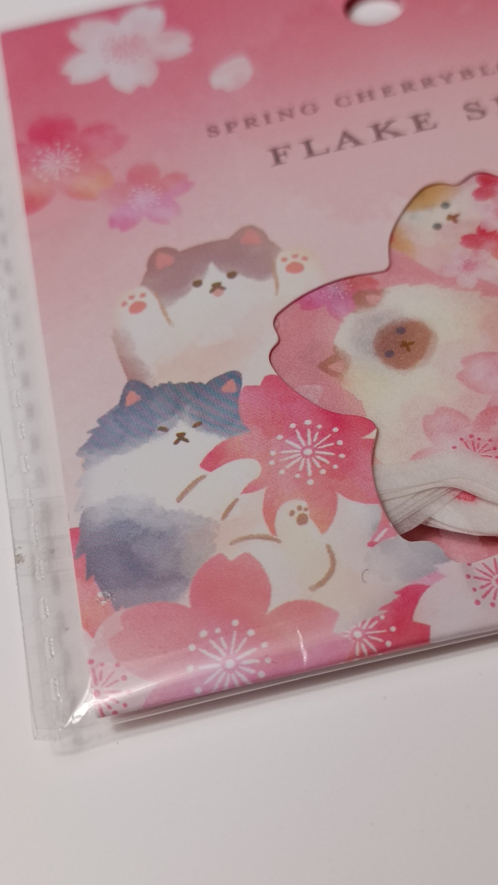 Floral and cat-themed product packaging on a pink background