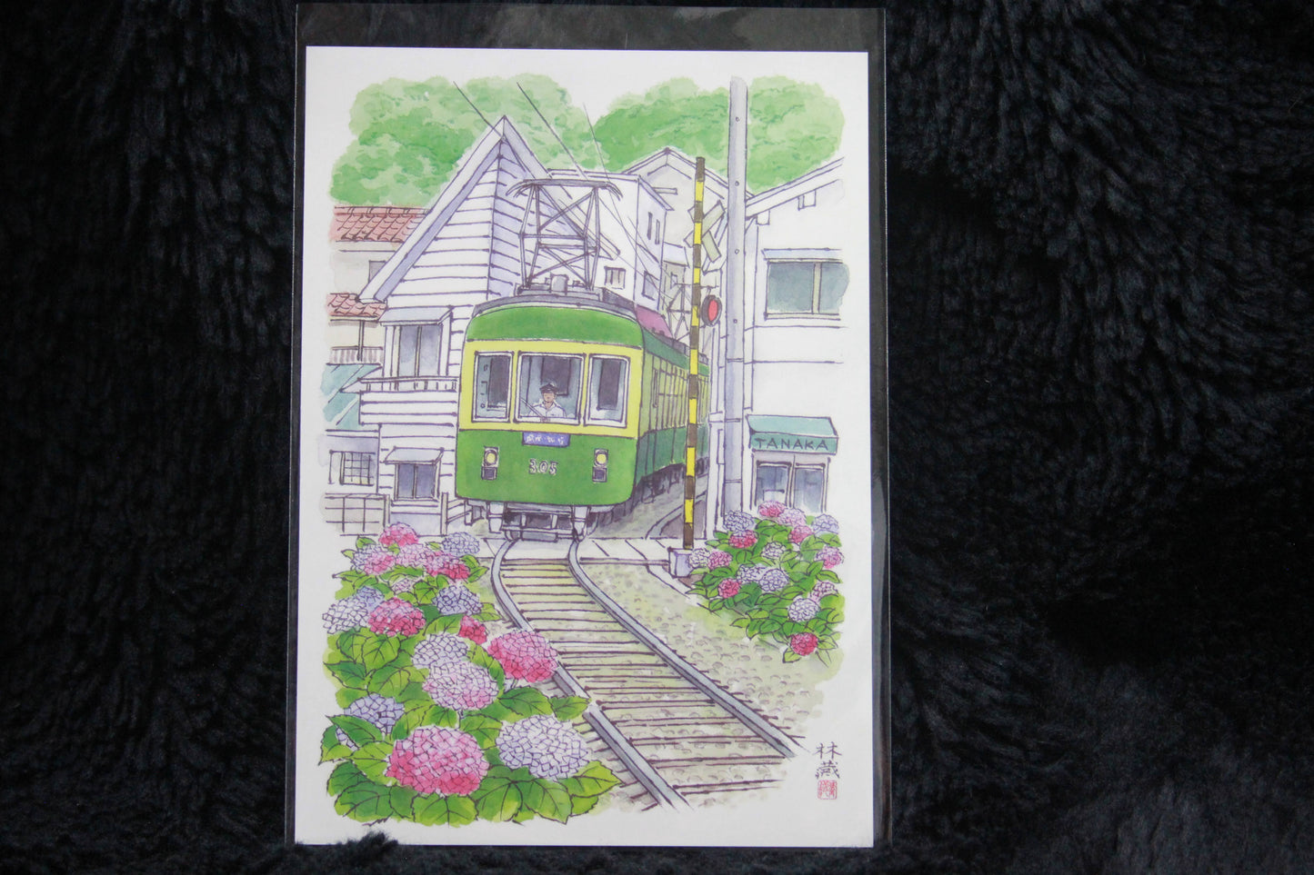KAMAKURA & FUJISAWA ★ POSTCARDS ★ ILLUSTRATION STYLE