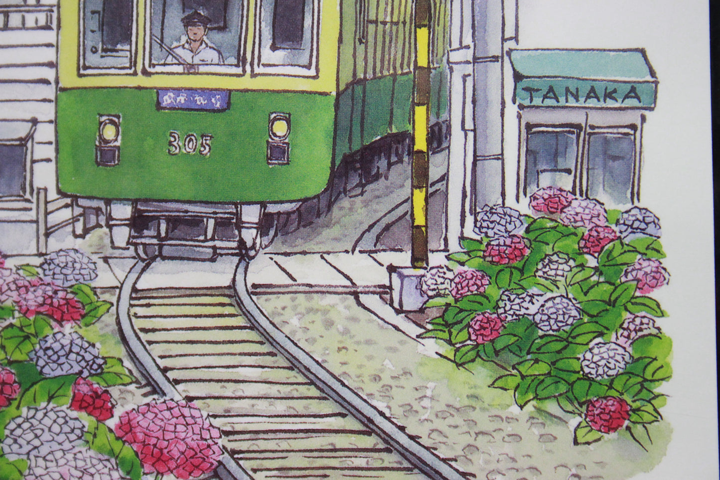 KAMAKURA & FUJISAWA ★ POSTCARDS ★ ILLUSTRATION STYLE