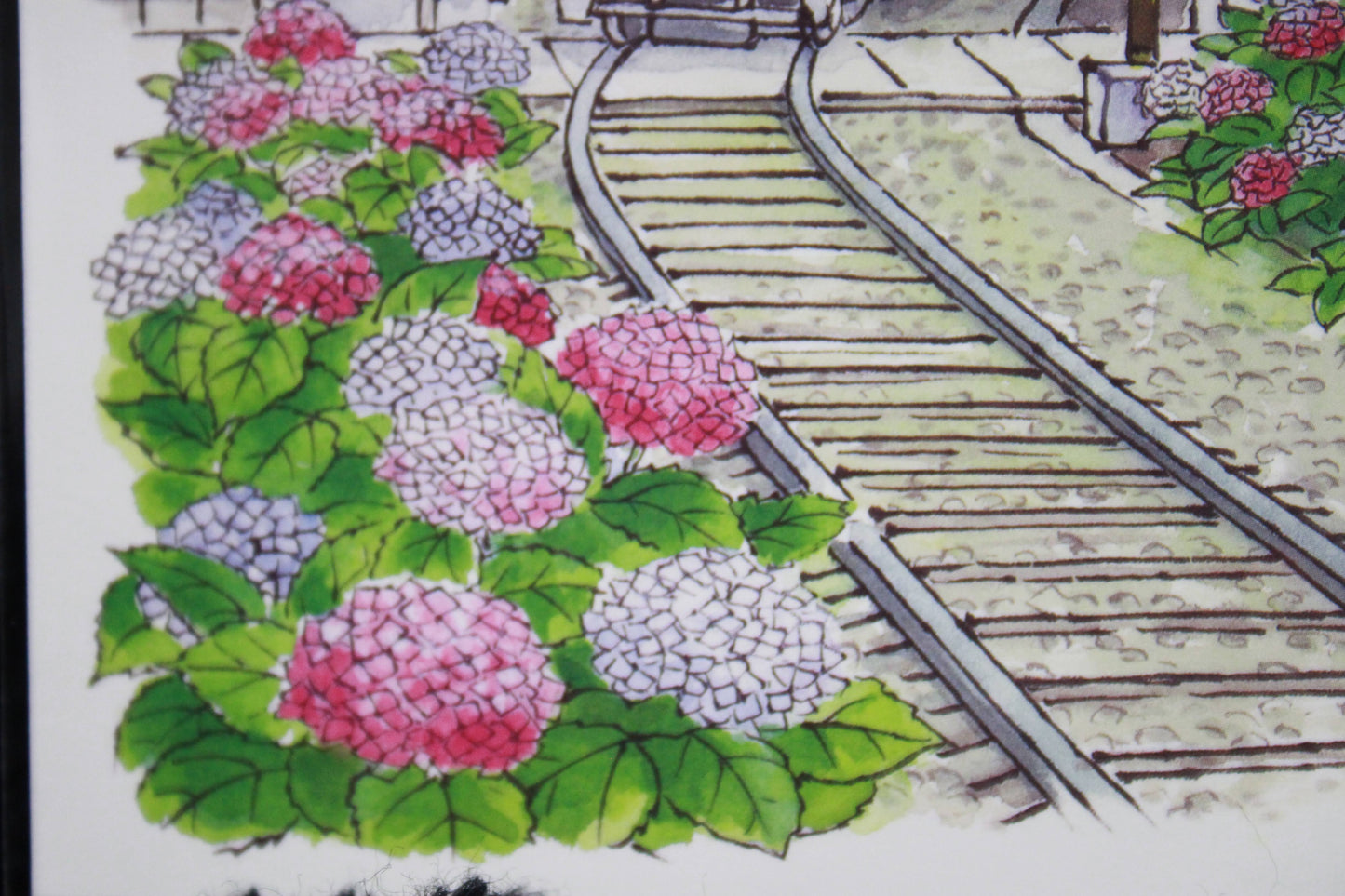 KAMAKURA & FUJISAWA // POSTCARDS ILLUSTRATION STYLE
