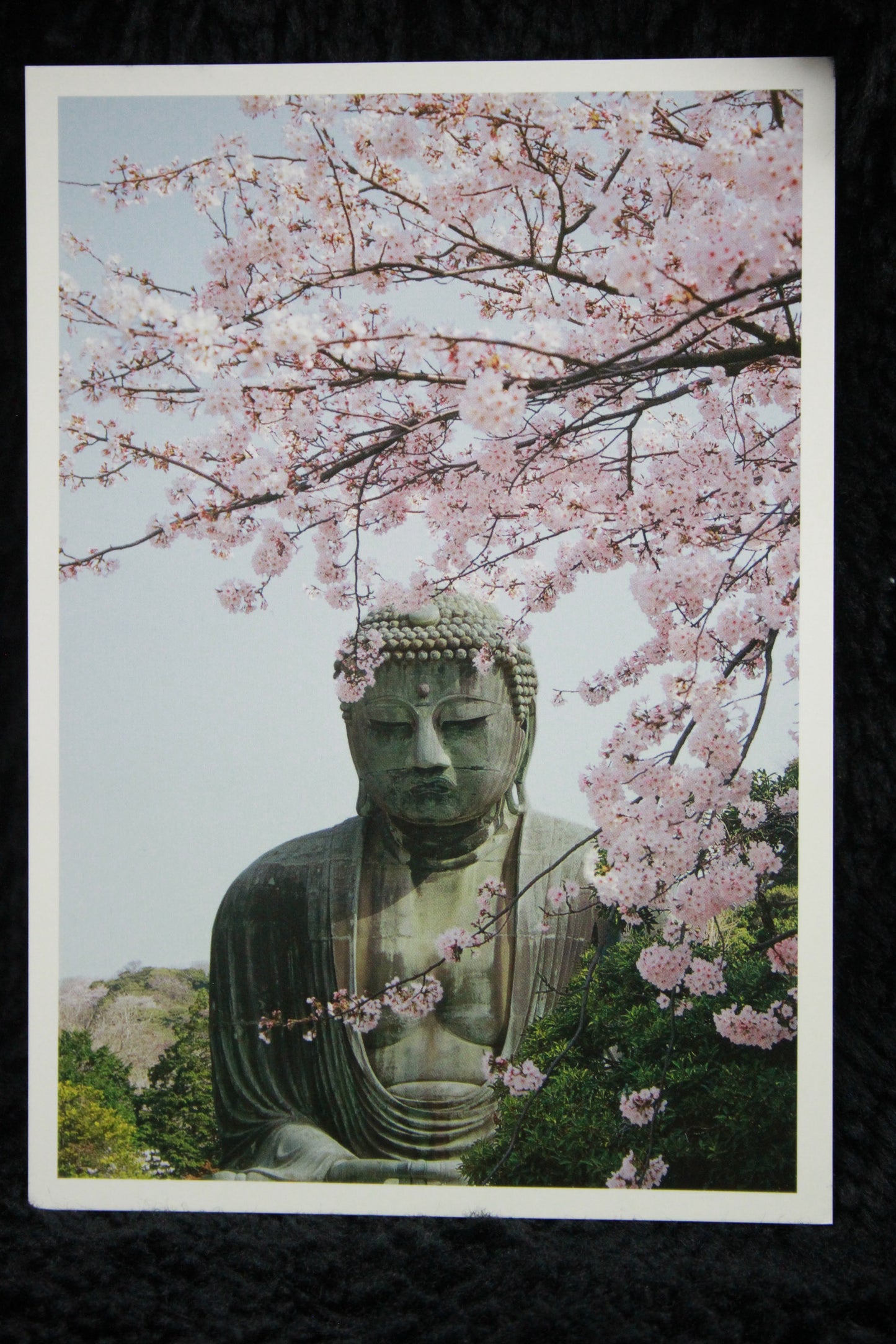KAMAKURA DAIBUTSU ★ POSTCARDS ★ PHOTO STYLE