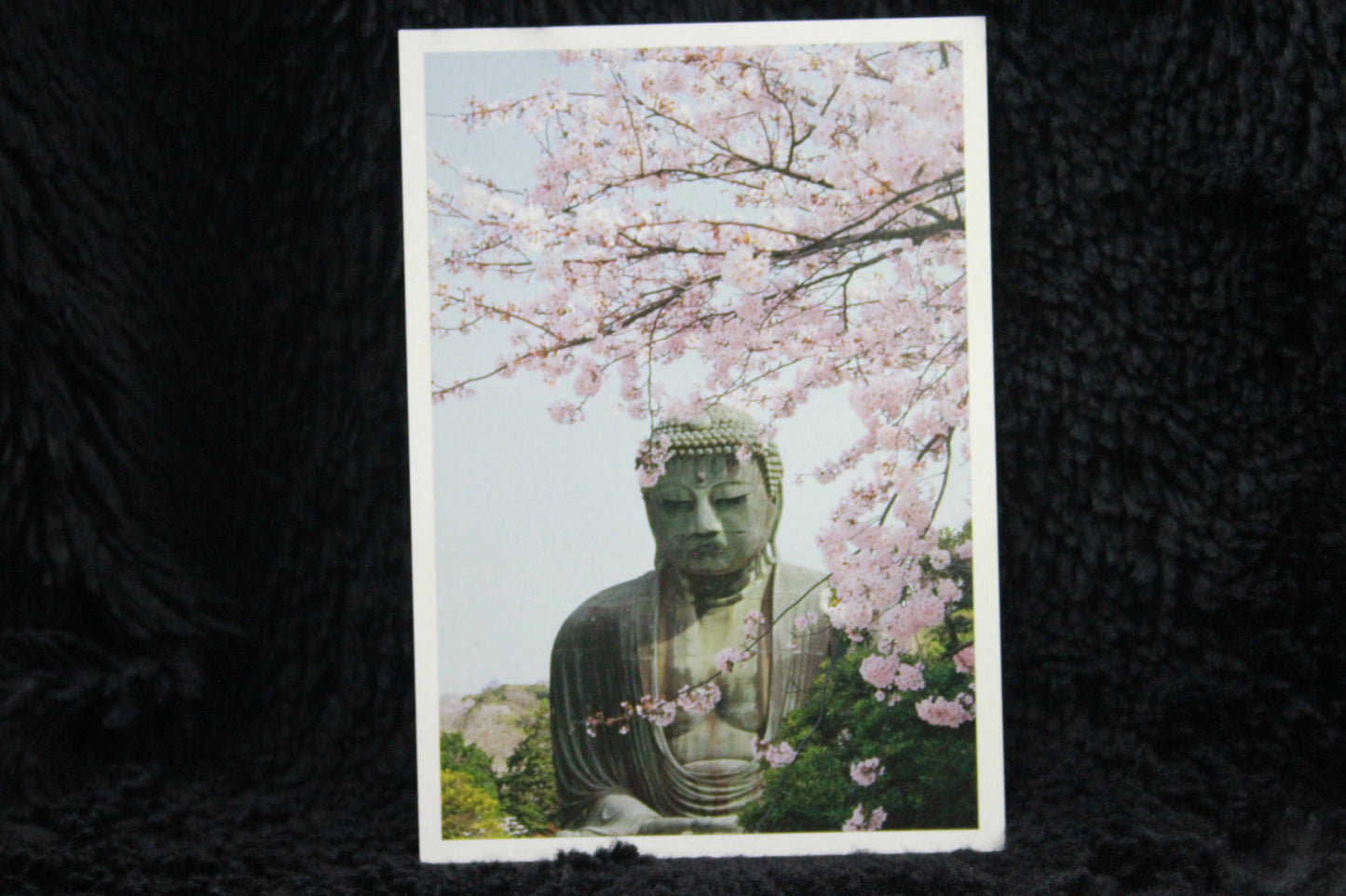 KAMAKURA DAIBUTSU ★ POSTCARDS ★ PHOTO STYLE