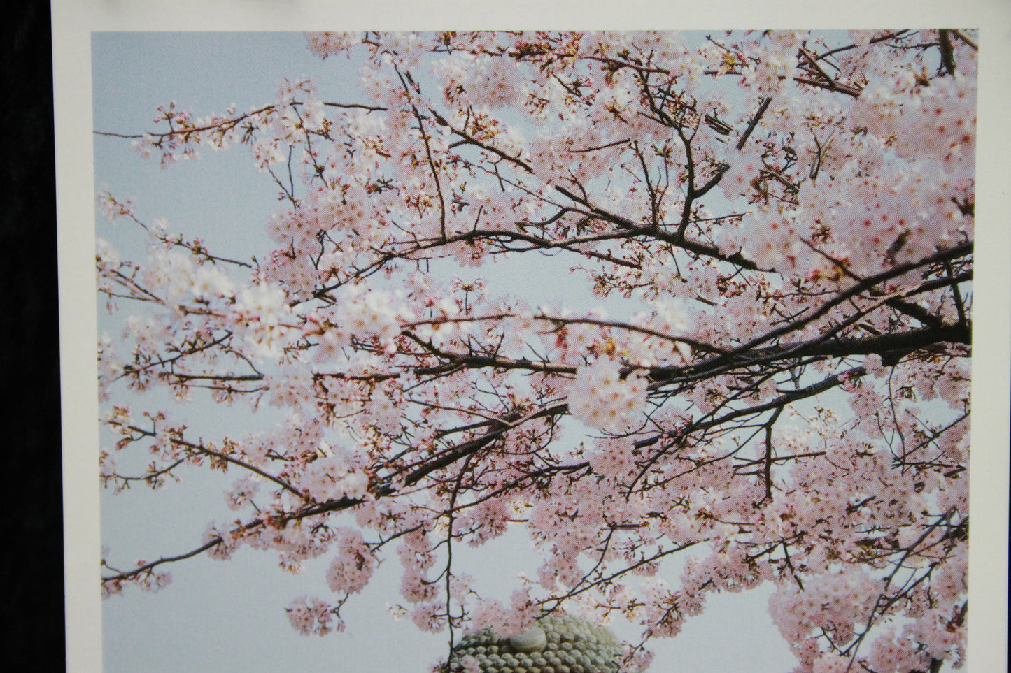 KAMAKURA DAIBUTSU ★ POSTCARDS ★ PHOTO STYLE