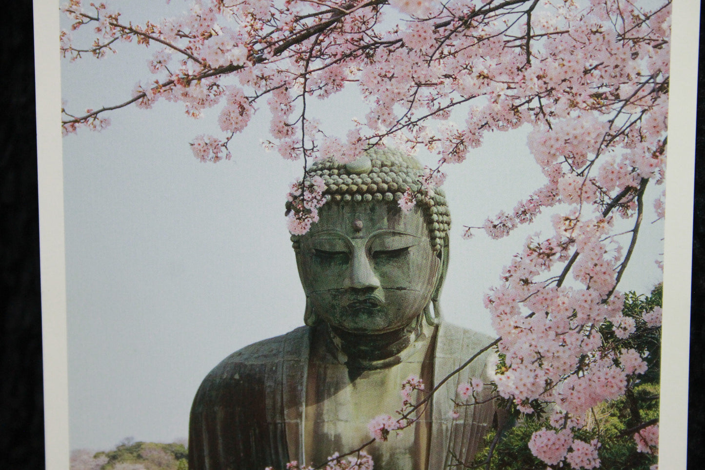 KAMAKURA DAIBUTSU ★ POSTCARDS ★ PHOTO STYLE