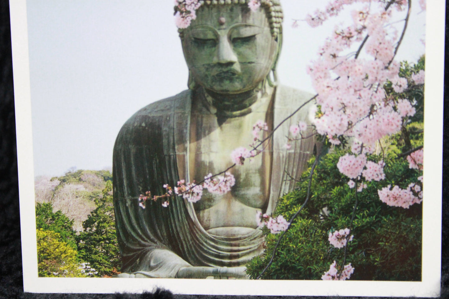 KAMAKURA DAIBUTSU ★ POSTCARDS ★ PHOTO STYLE