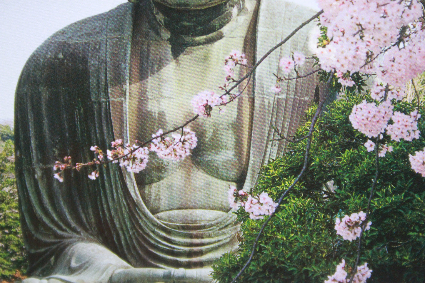 KAMAKURA DAIBUTSU ★ POSTCARDS ★ PHOTO STYLE