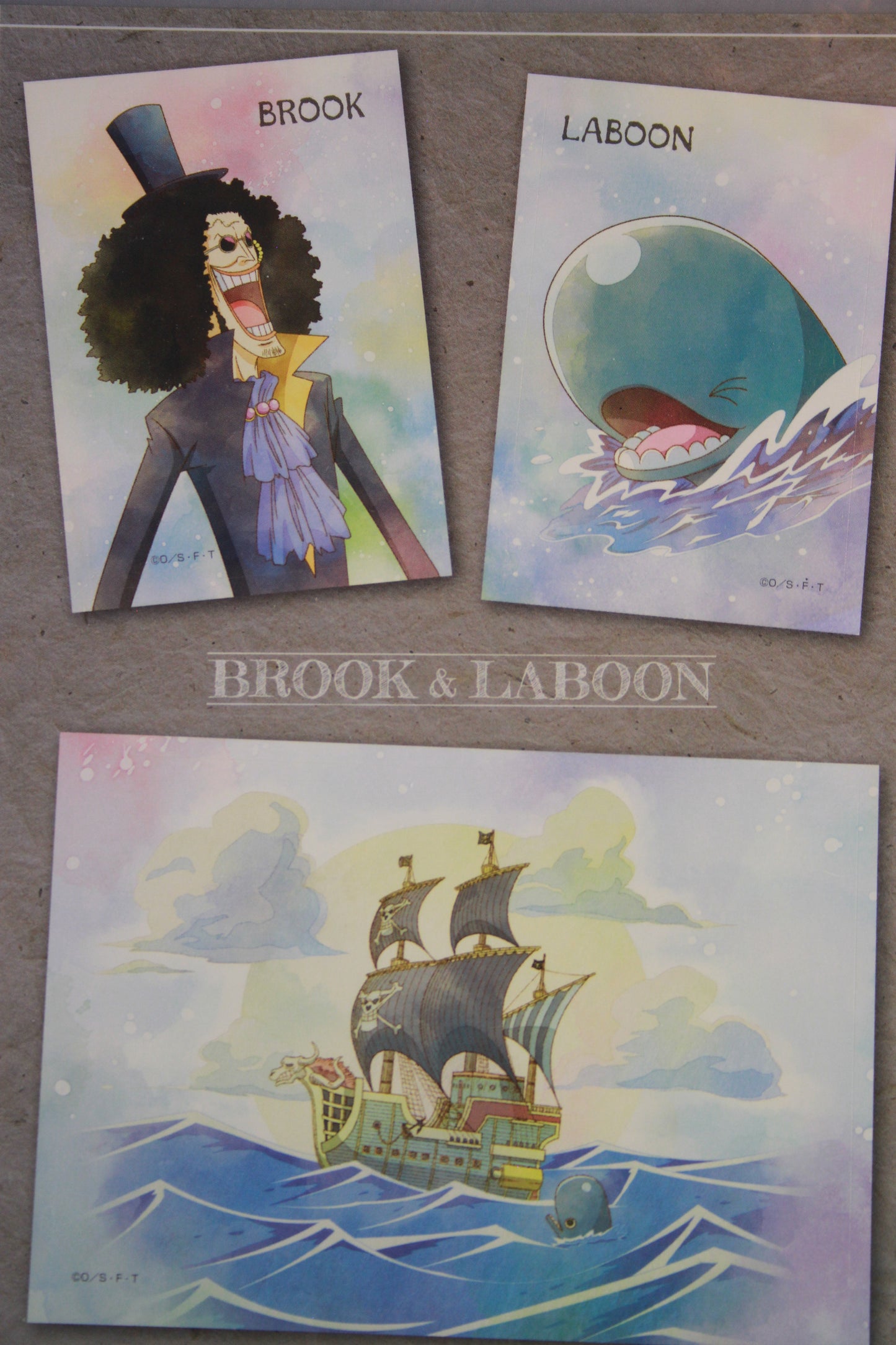 BROOK & LABOON ~ ONE PIECE // CLEAR FILE + STICKERS