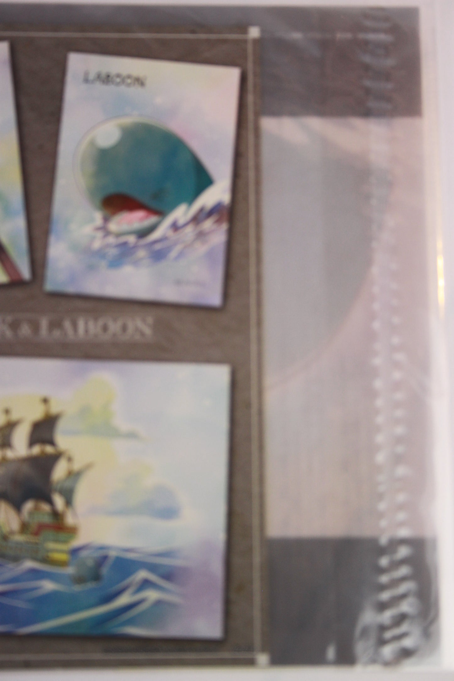 BROOK & LABOON ~ ONE PIECE // CLEAR FILE + STICKERS