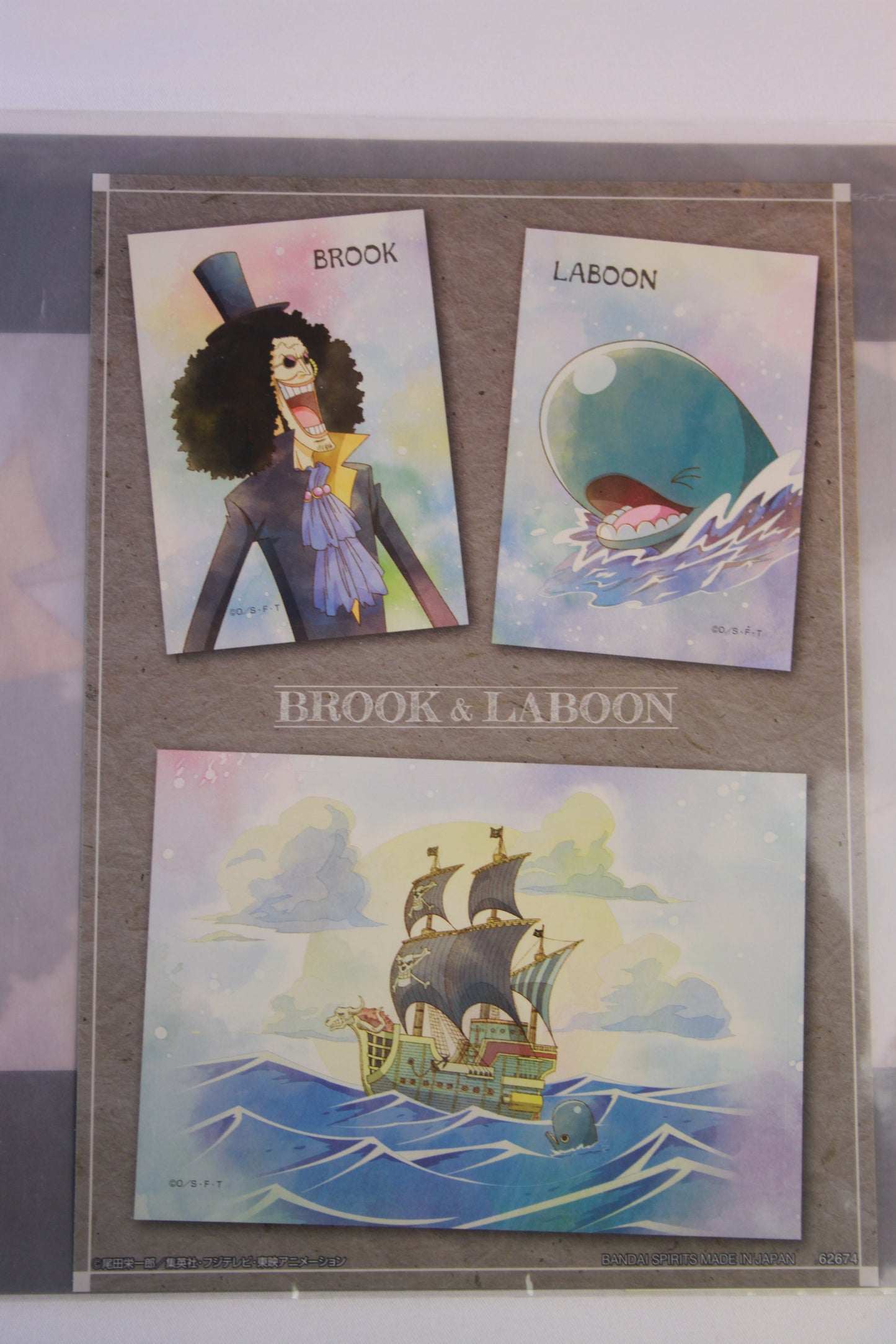 BROOK & LABOON ~ ONE PIECE // CLEAR FILE + STICKERS