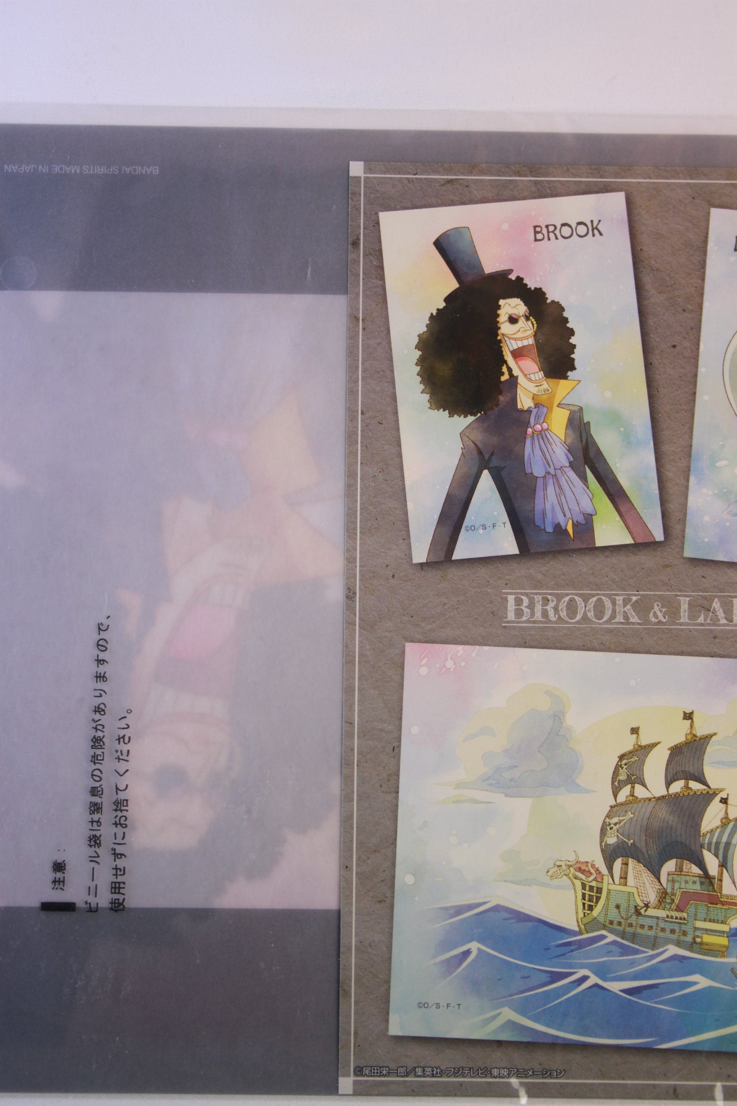 BROOK & LABOON ~ ONE PIECE // CLEAR FILE + STICKERS