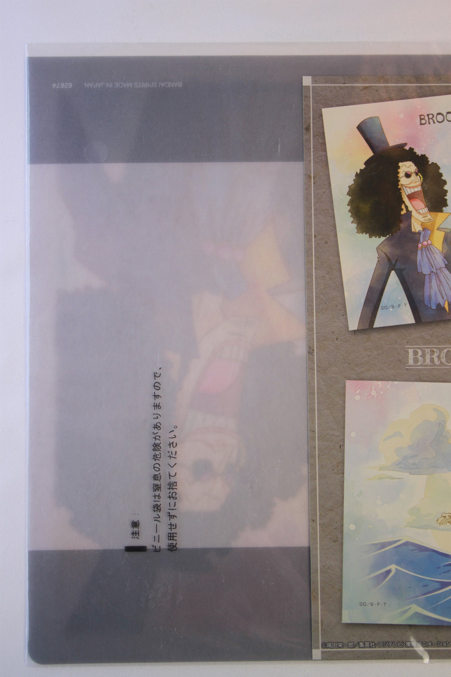 BROOK & LABOON ~ ONE PIECE // CLEAR FILE + STICKERS