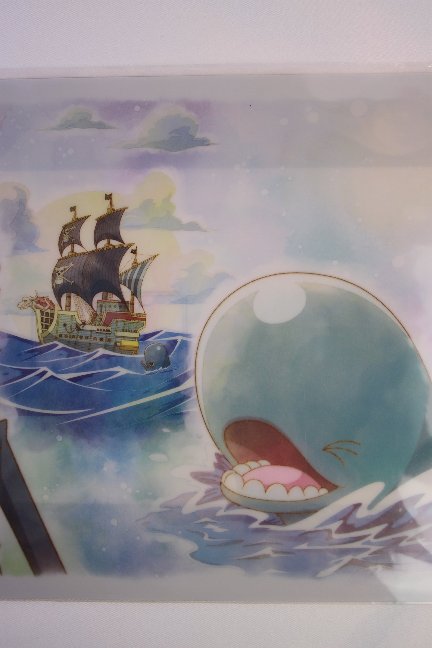 BROOK & LABOON ~ ONE PIECE // CLEAR FILE + STICKERS