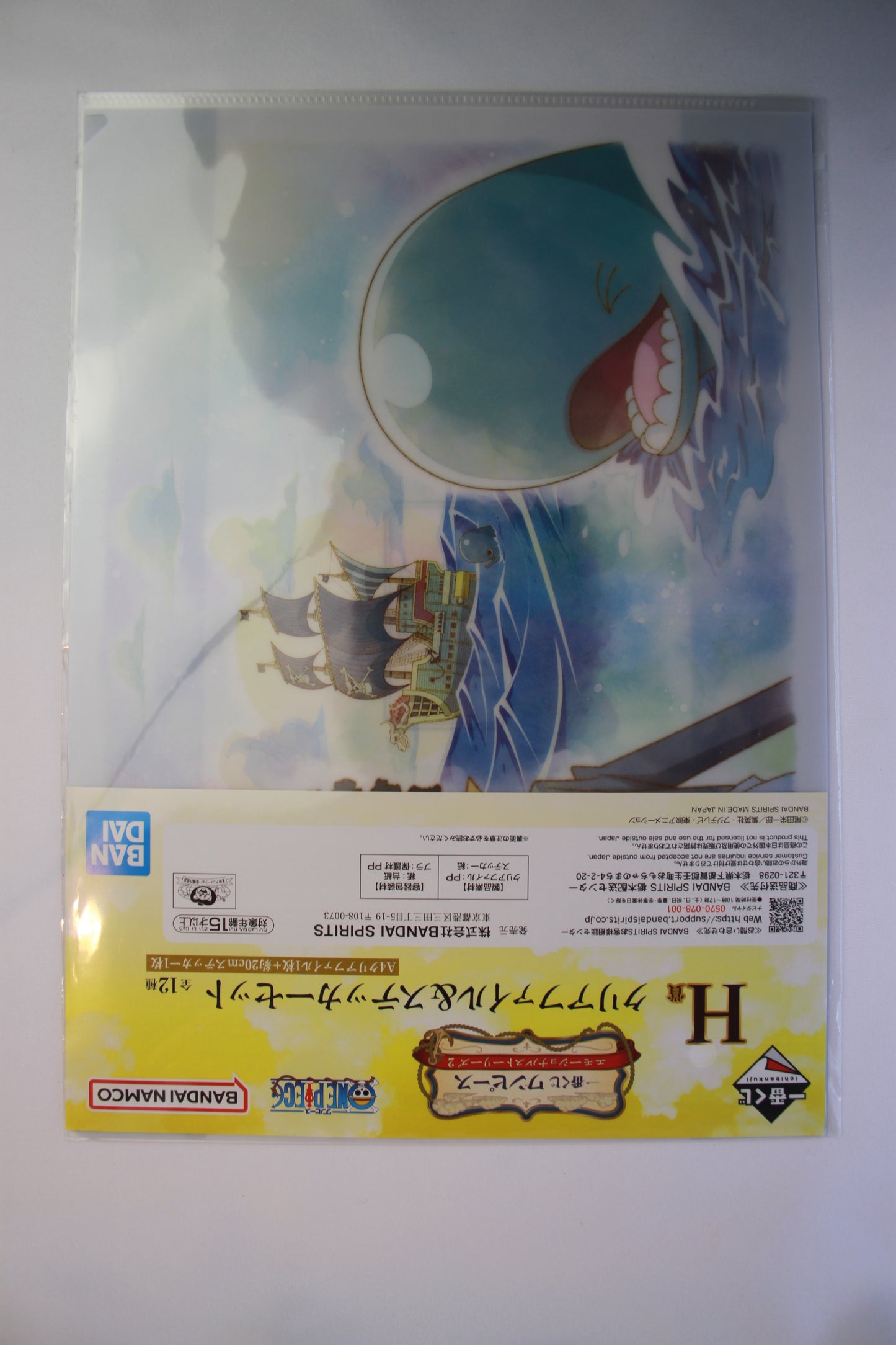 BROOK & LABOON ~ ONE PIECE // CLEAR FILE + STICKERS
