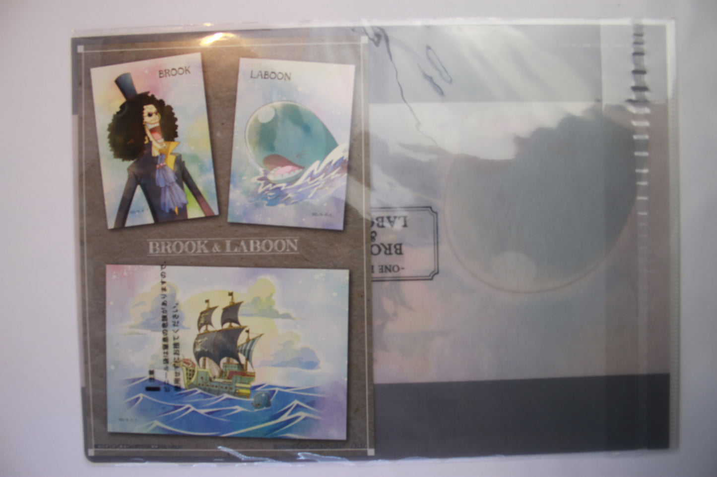BROOK & LABOON ~ ONE PIECE // CLEAR FILE + STICKERS