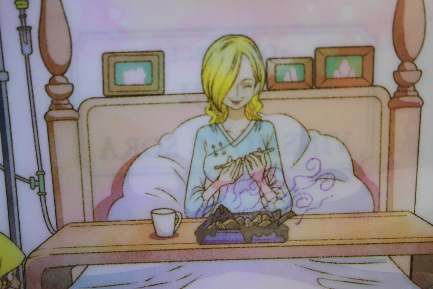 SANJI & SORA ~ ONE PIECE // CLEAR FILE + STICKERS
