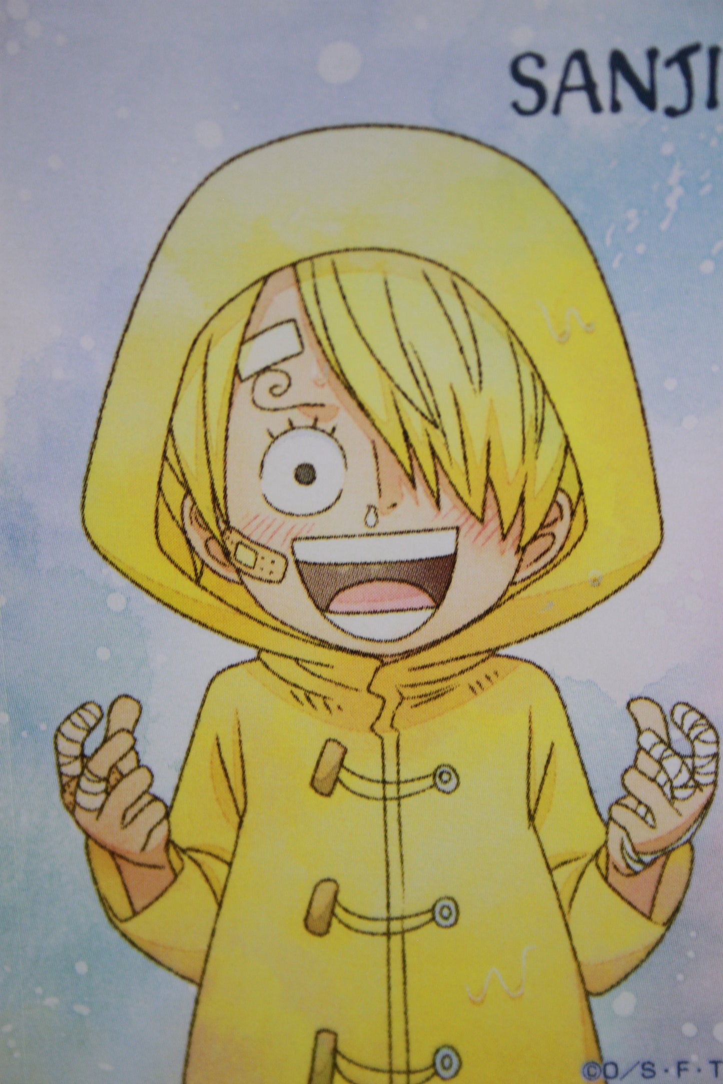 SANJI & SORA ~ ONE PIECE // CLEAR FILE + STICKERS
