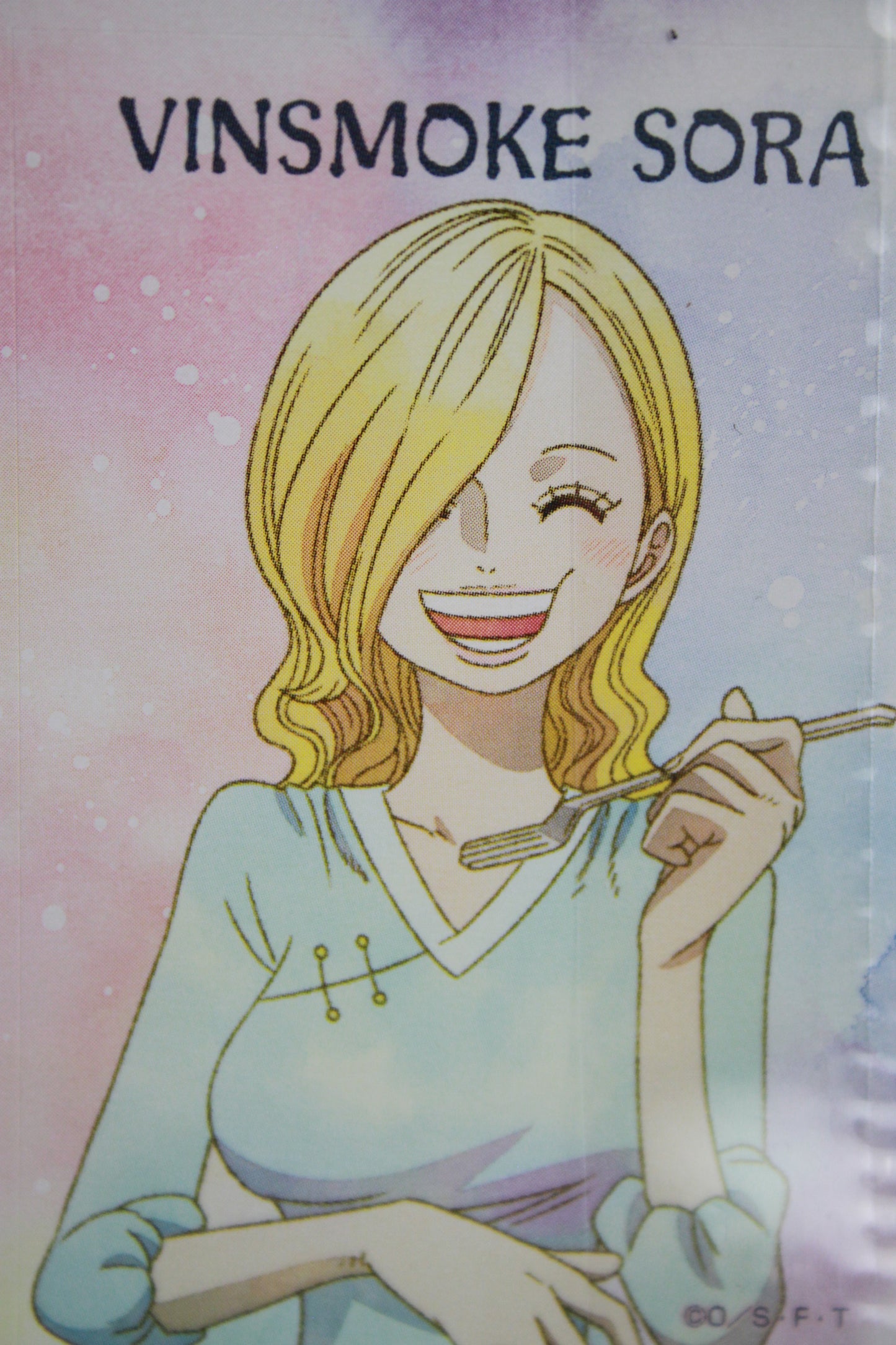 SANJI & SORA ~ ONE PIECE // CLEAR FILE + STICKERS