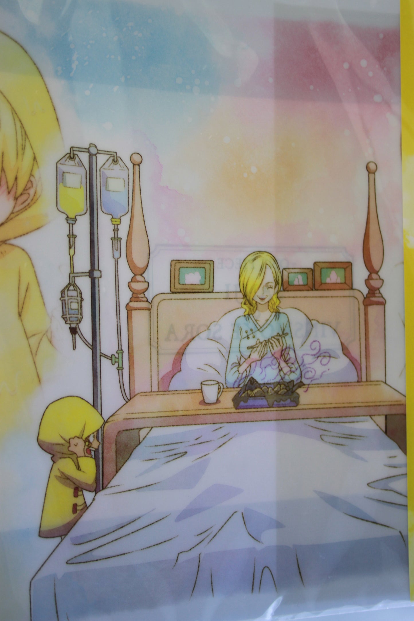 SANJI & SORA ~ ONE PIECE // CLEAR FILE + STICKERS