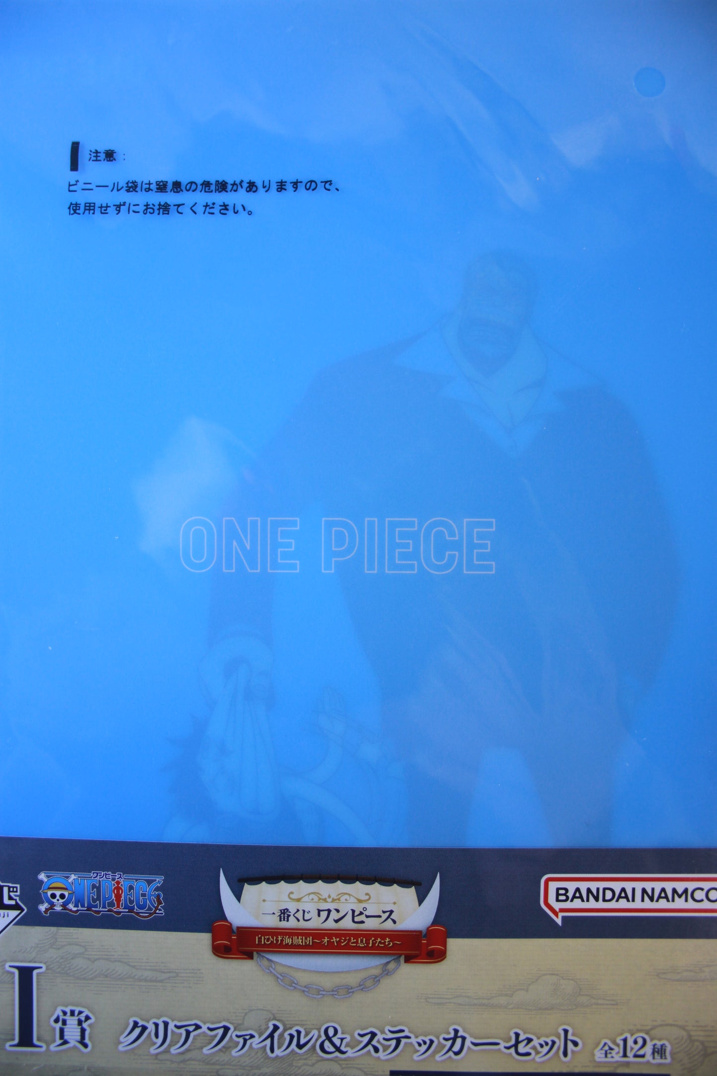 LUFFY & GARP ~ ONE PIECE // CLEAR FILE + STICKERS