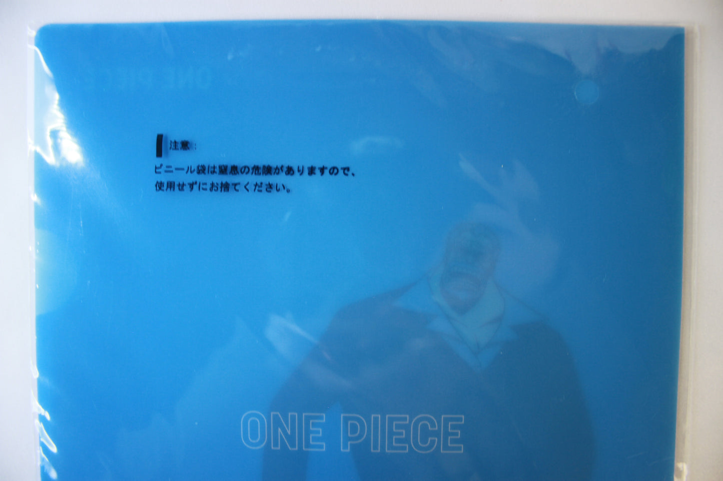 LUFFY & GARP ~ ONE PIECE // CLEAR FILE + STICKERS
