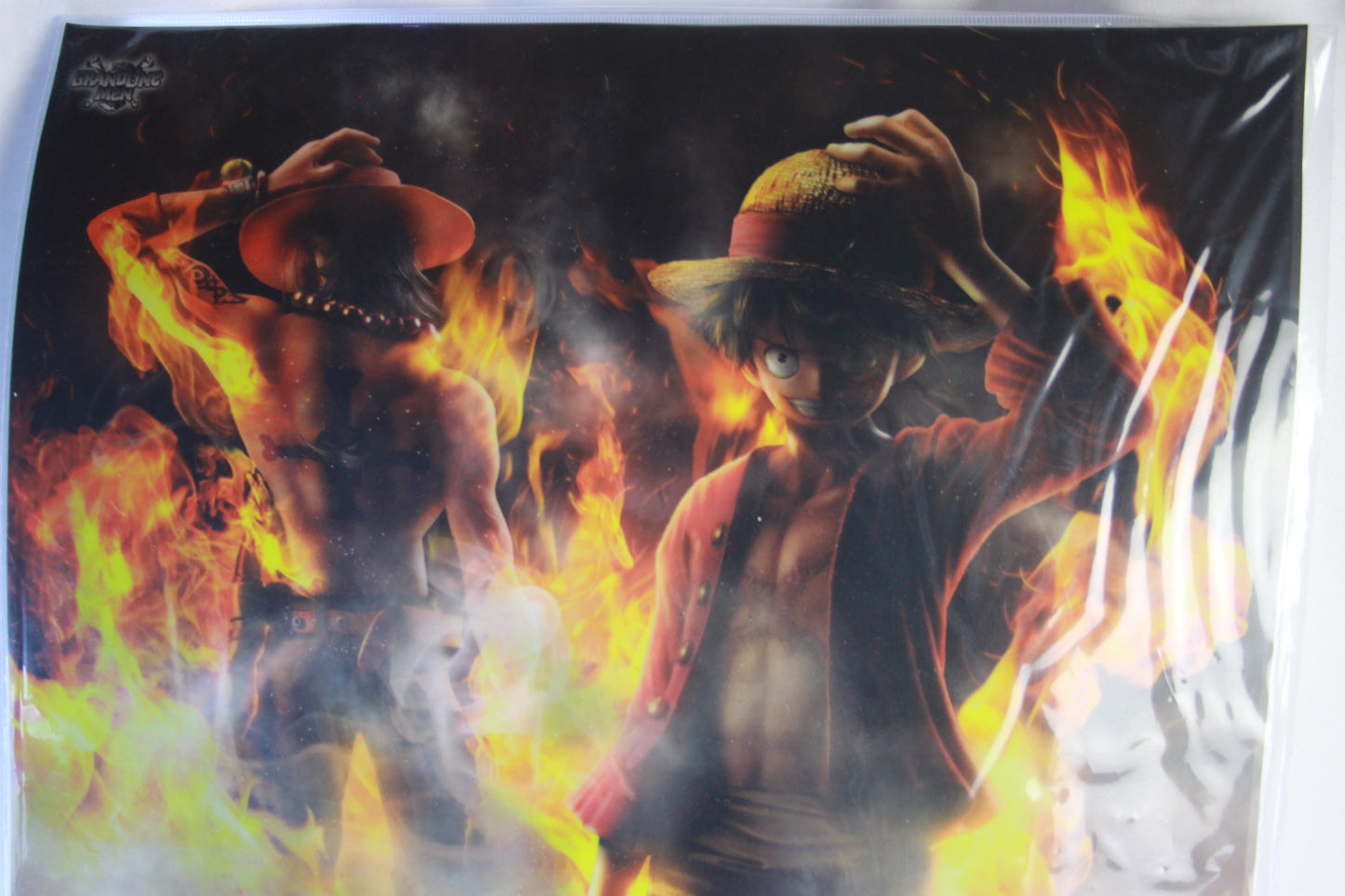 LUFFY & ACE ~ ONE PIECE // CLEAR POSTER