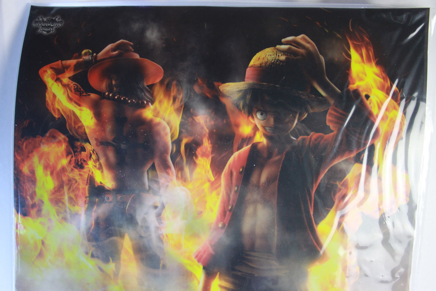 LUFFY & ACE ~ ONE PIECE // CLEAR POSTER