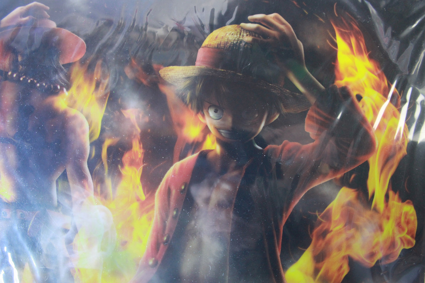 LUFFY & ACE ~ ONE PIECE // CLEAR POSTER