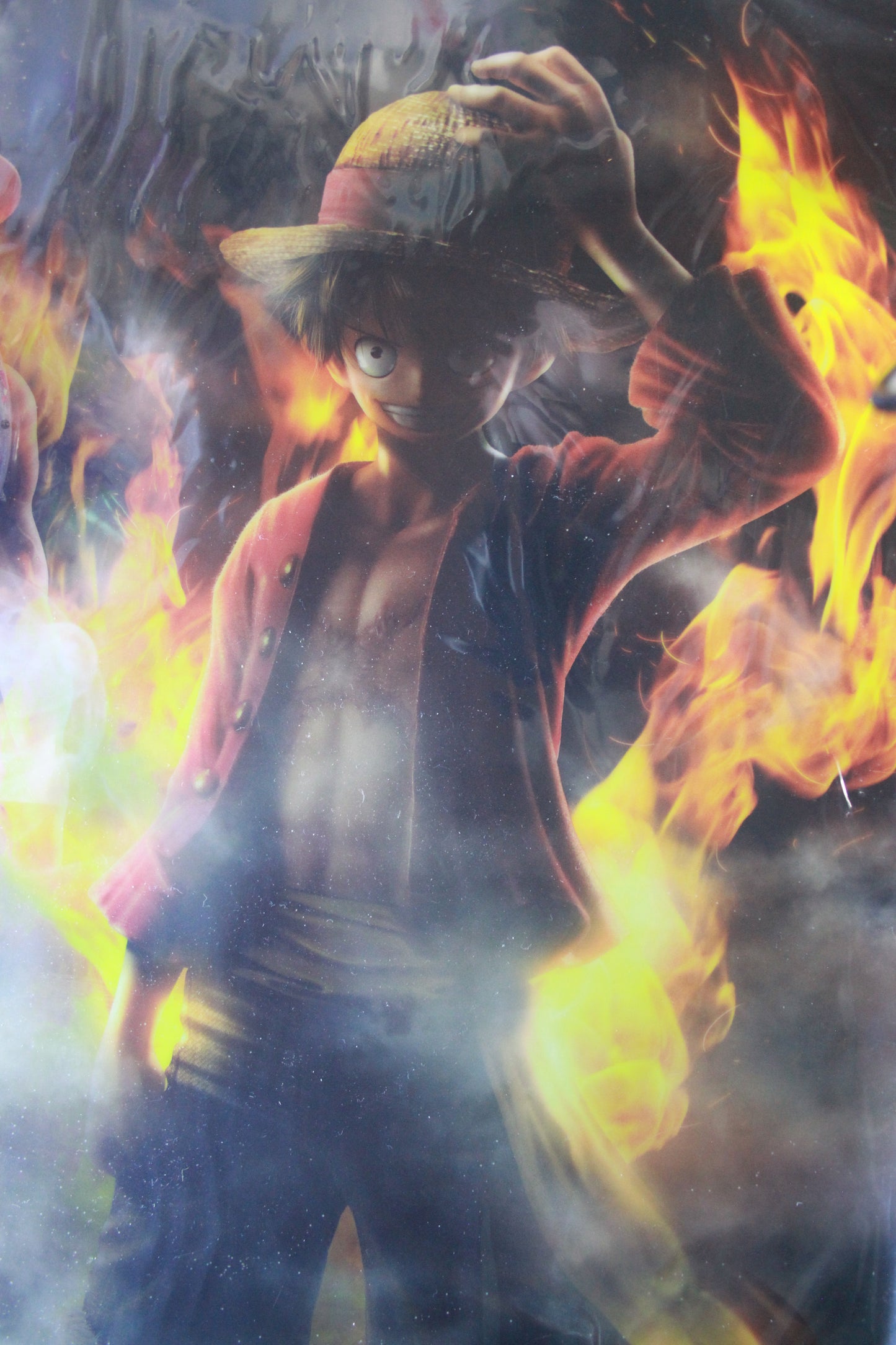 LUFFY & ACE ~ ONE PIECE // CLEAR POSTER