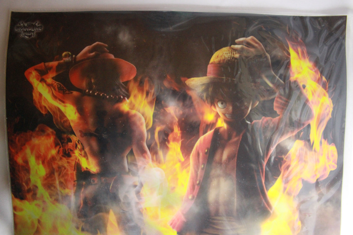 LUFFY & ACE ~ ONE PIECE // CLEAR POSTER