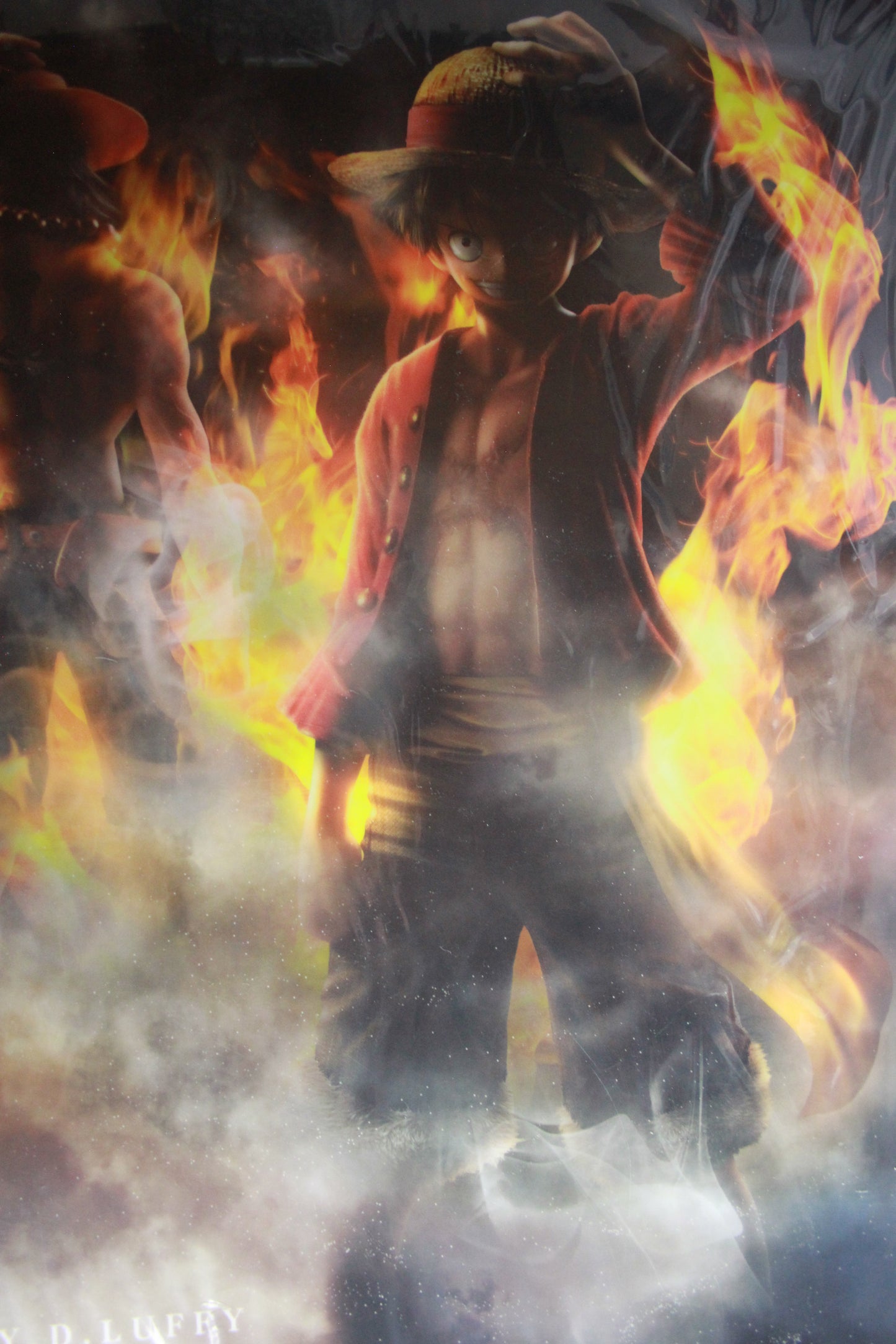 LUFFY & ACE ~ ONE PIECE // CLEAR POSTER
