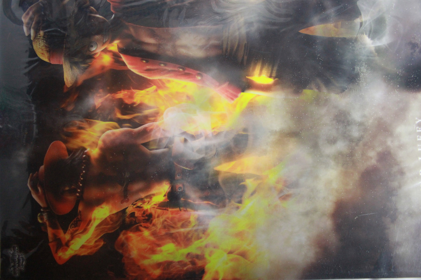 LUFFY & ACE ~ ONE PIECE // CLEAR POSTER