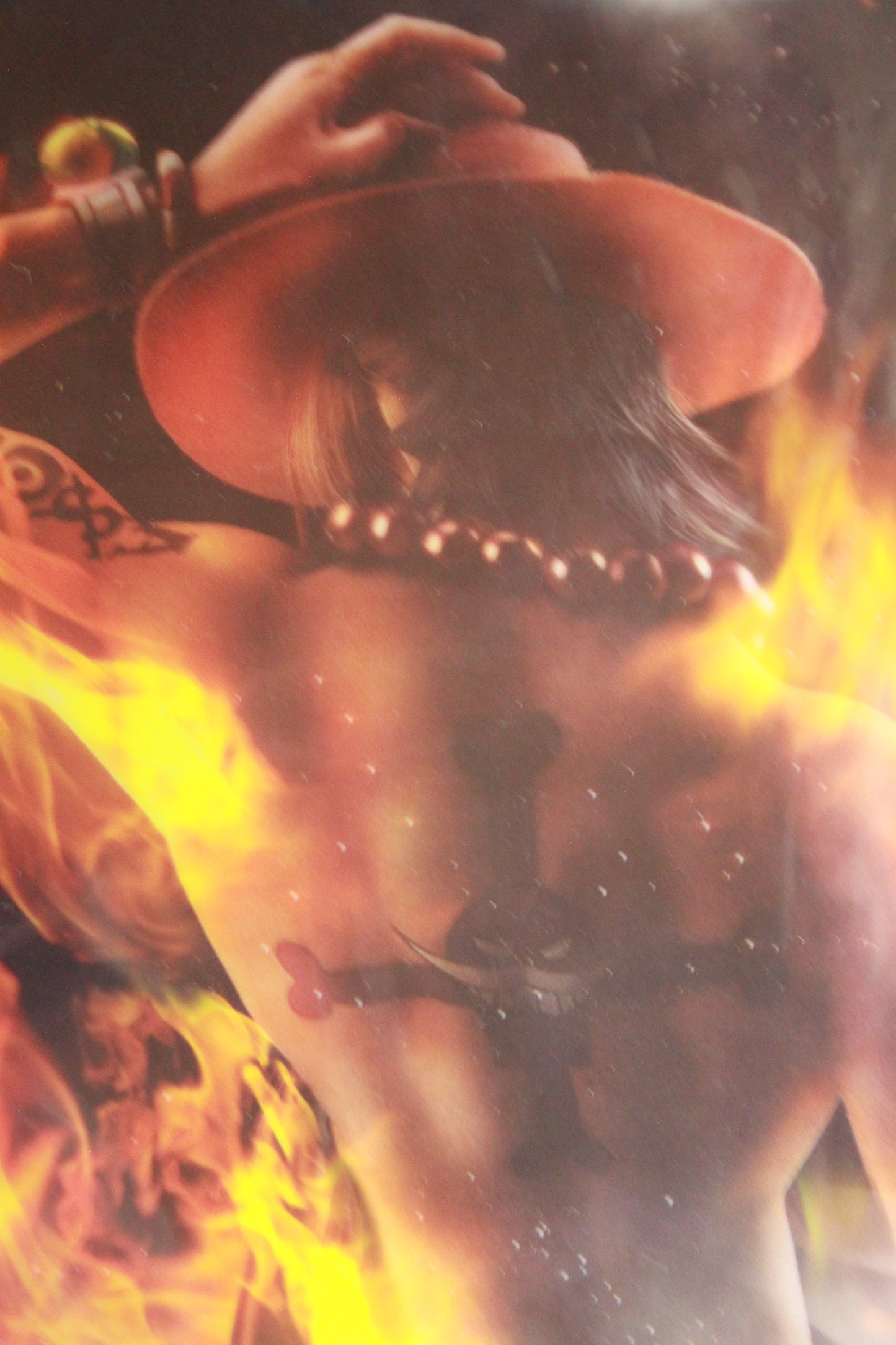 LUFFY & ACE ~ ONE PIECE // CLEAR POSTER