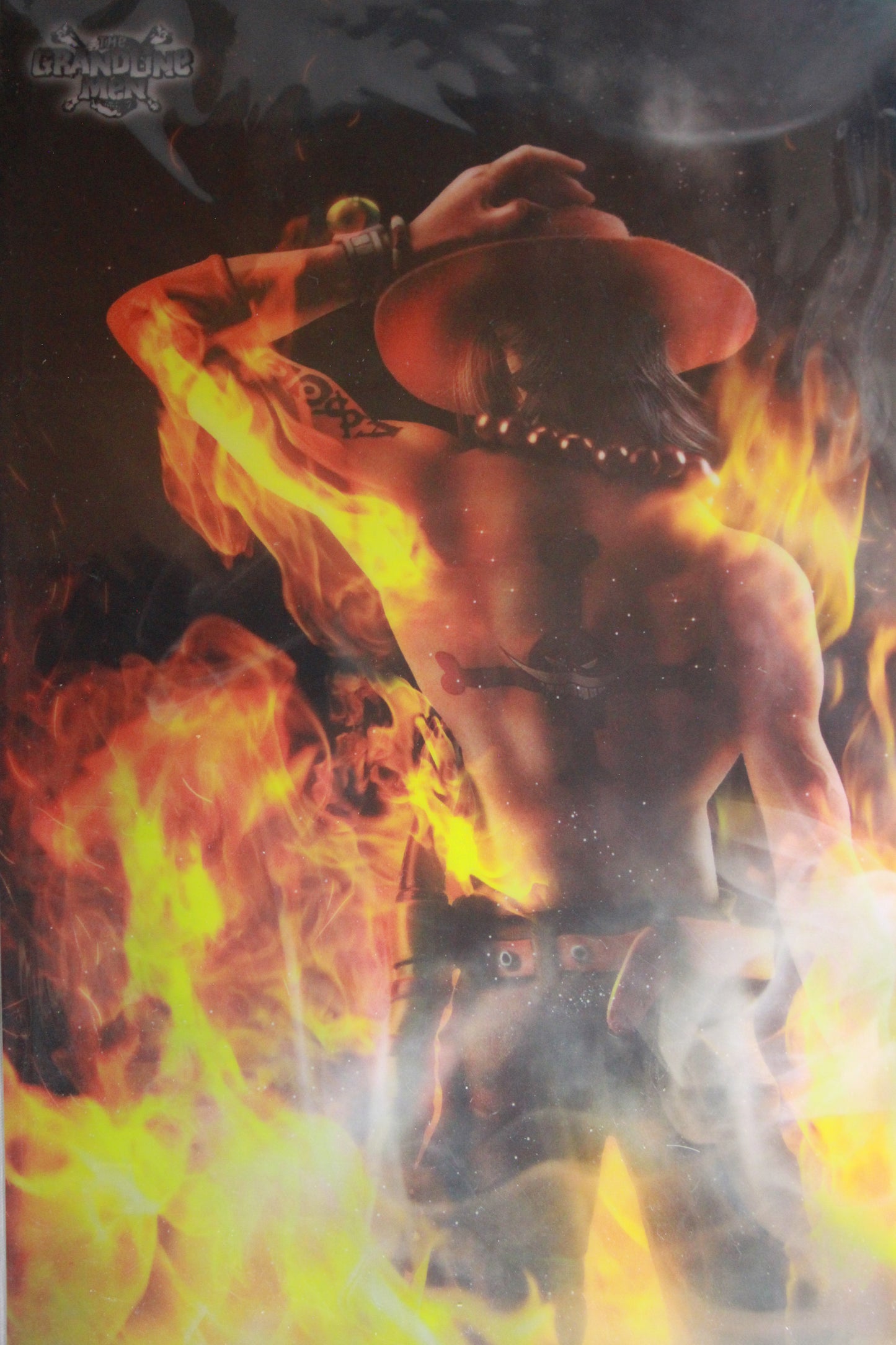 LUFFY & ACE ~ ONE PIECE // CLEAR POSTER