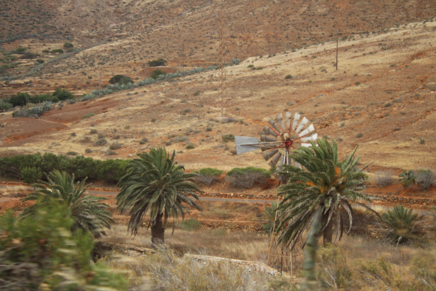 CANARY ISLANDS